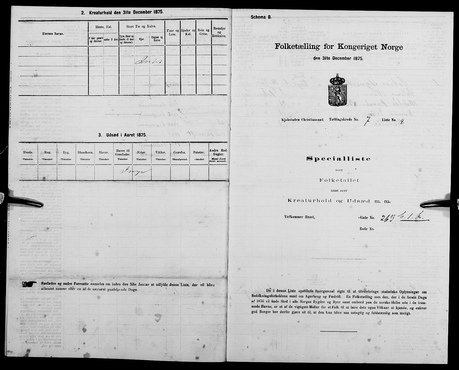 SAK, 1875 census for 1001P Kristiansand, 1875, p. 1003