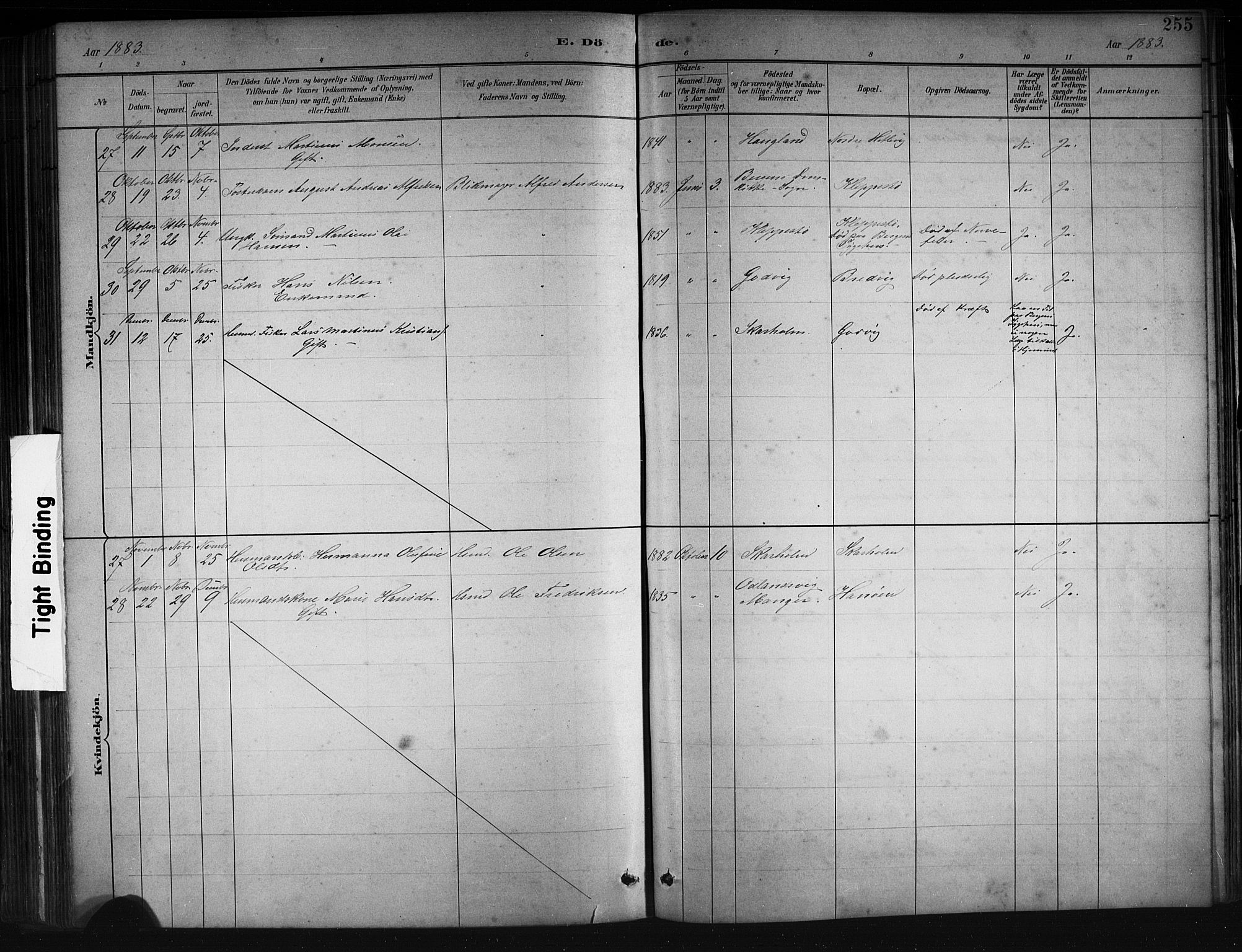 Askøy Sokneprestembete, AV/SAB-A-74101/H/Ha/Hab/Haba/L0008: Parish register (copy) no. A 8, 1882-1893, p. 255