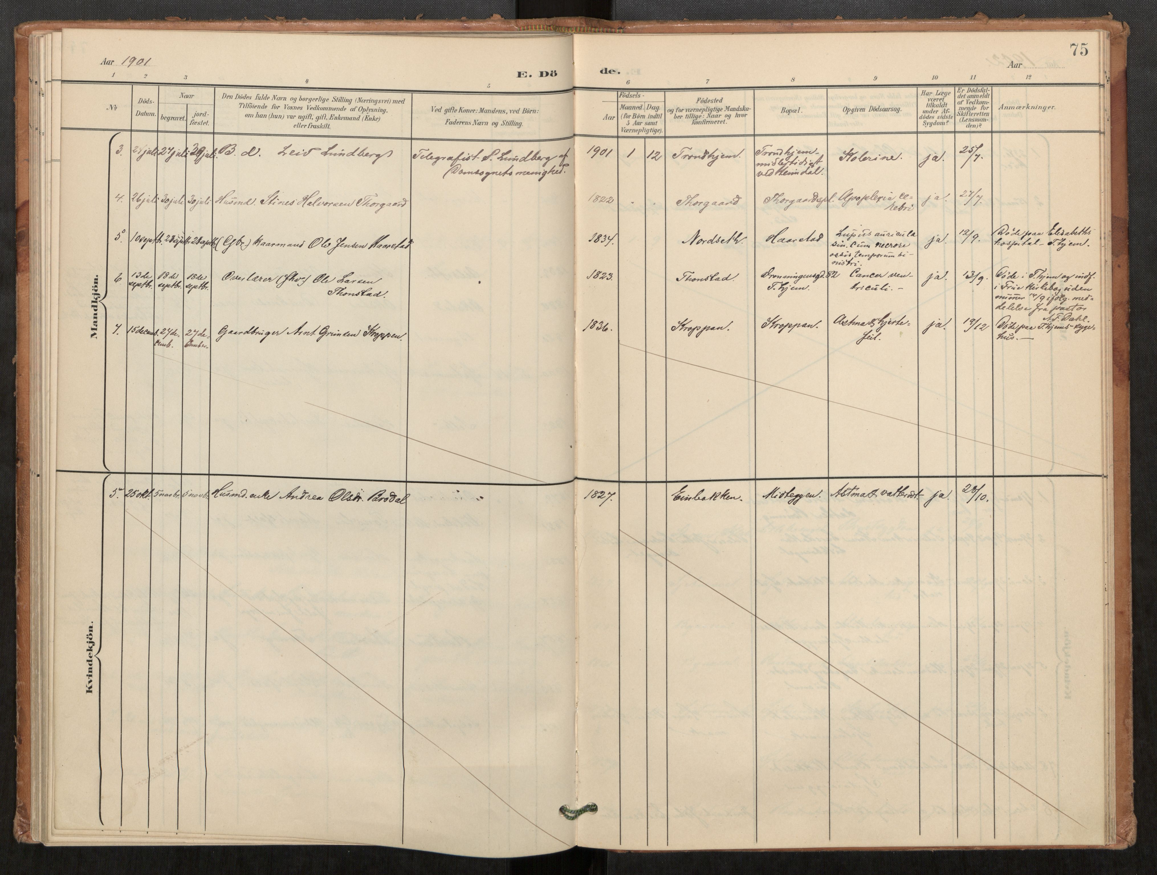 Klæbu sokneprestkontor, SAT/A-1112: Parish register (official) no. 2, 1900-1916, p. 75