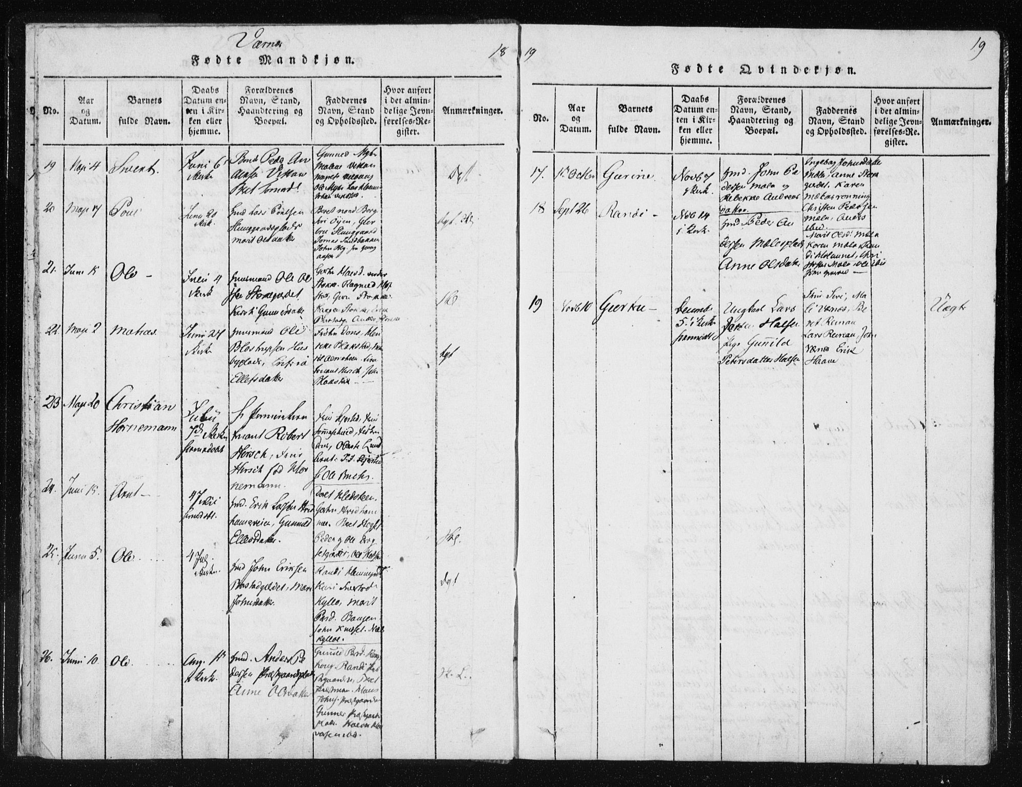 Ministerialprotokoller, klokkerbøker og fødselsregistre - Nord-Trøndelag, SAT/A-1458/709/L0061: Parish register (official) no. 709A08 /1, 1815-1819, p. 19