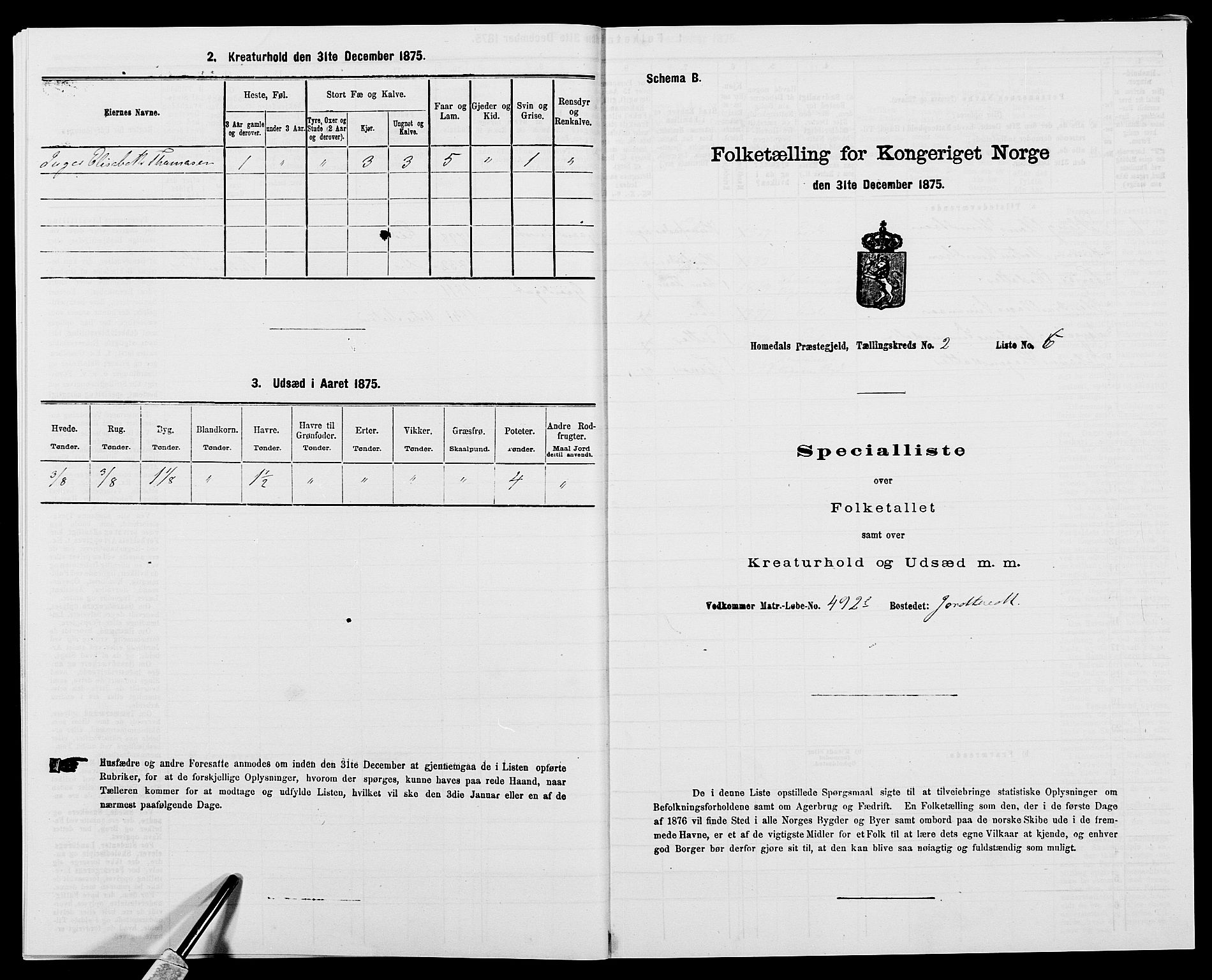 SAK, 1875 census for 0924P Homedal, 1875, p. 138