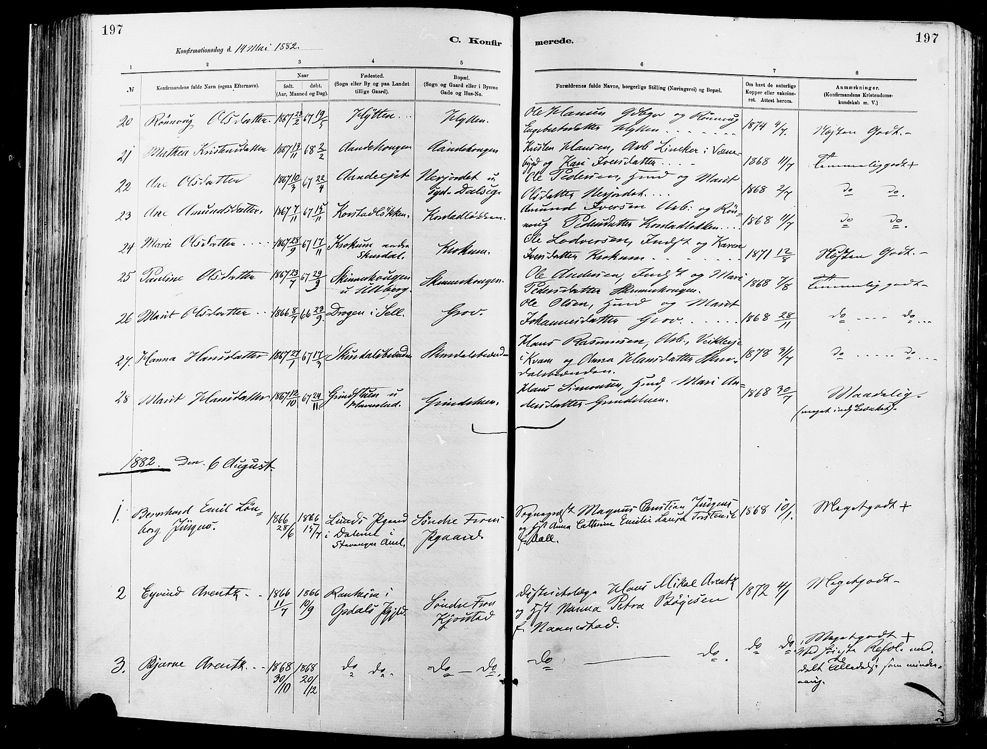 Sør-Fron prestekontor, AV/SAH-PREST-010/H/Ha/Haa/L0003: Parish register (official) no. 3, 1881-1897, p. 197