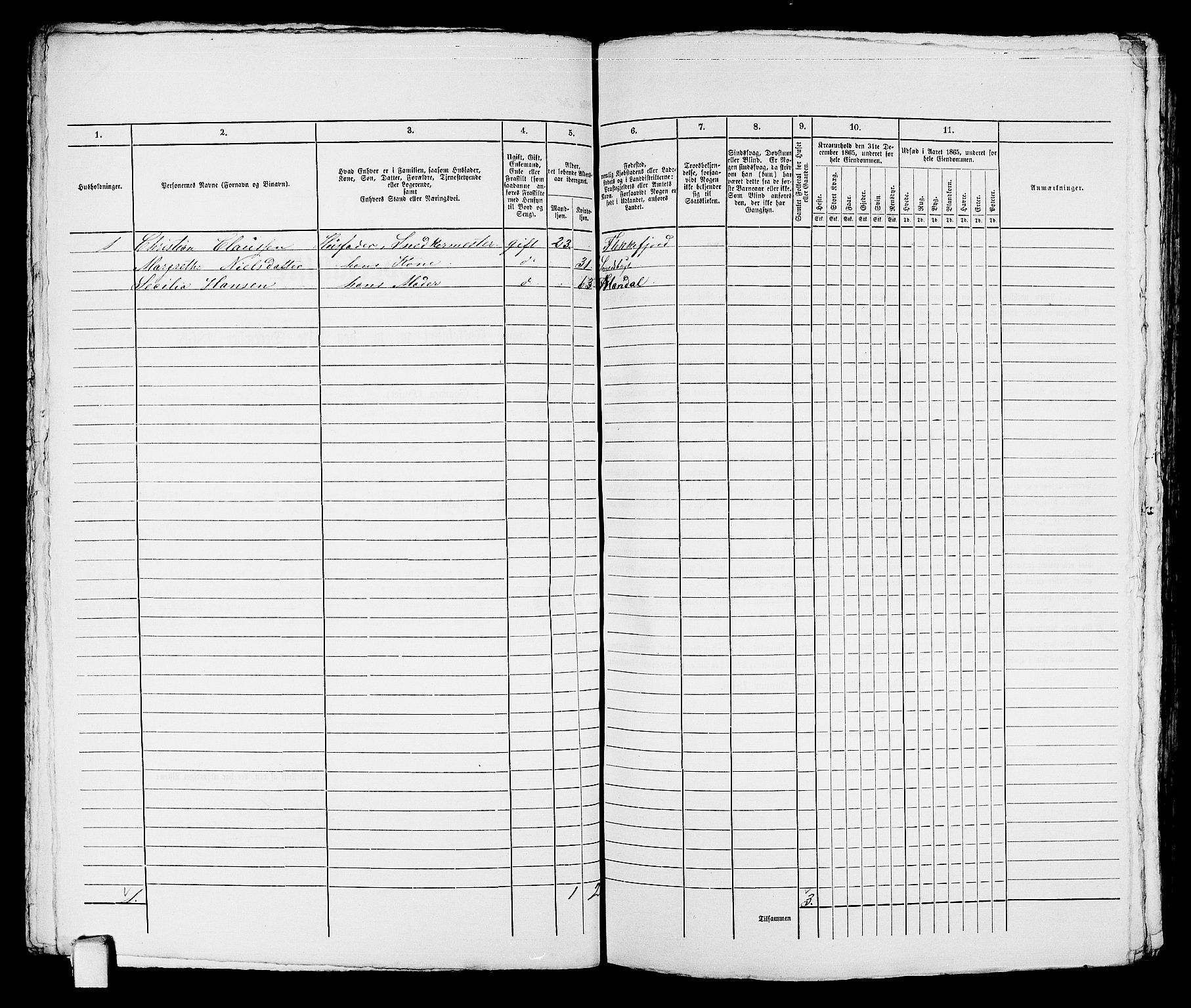 RA, 1865 census for Kragerø/Kragerø, 1865, p. 170