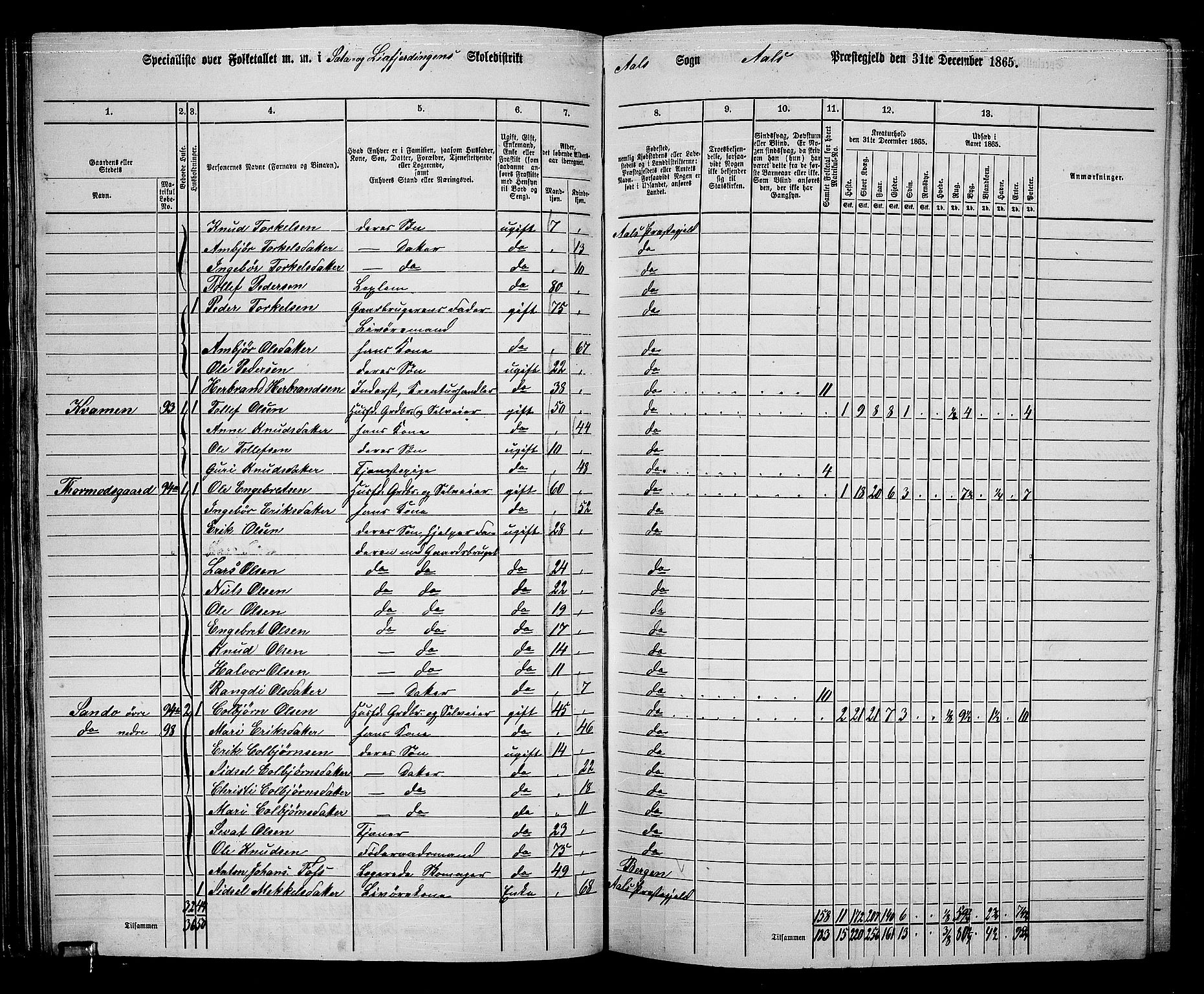 RA, 1865 census for Ål, 1865, p. 61