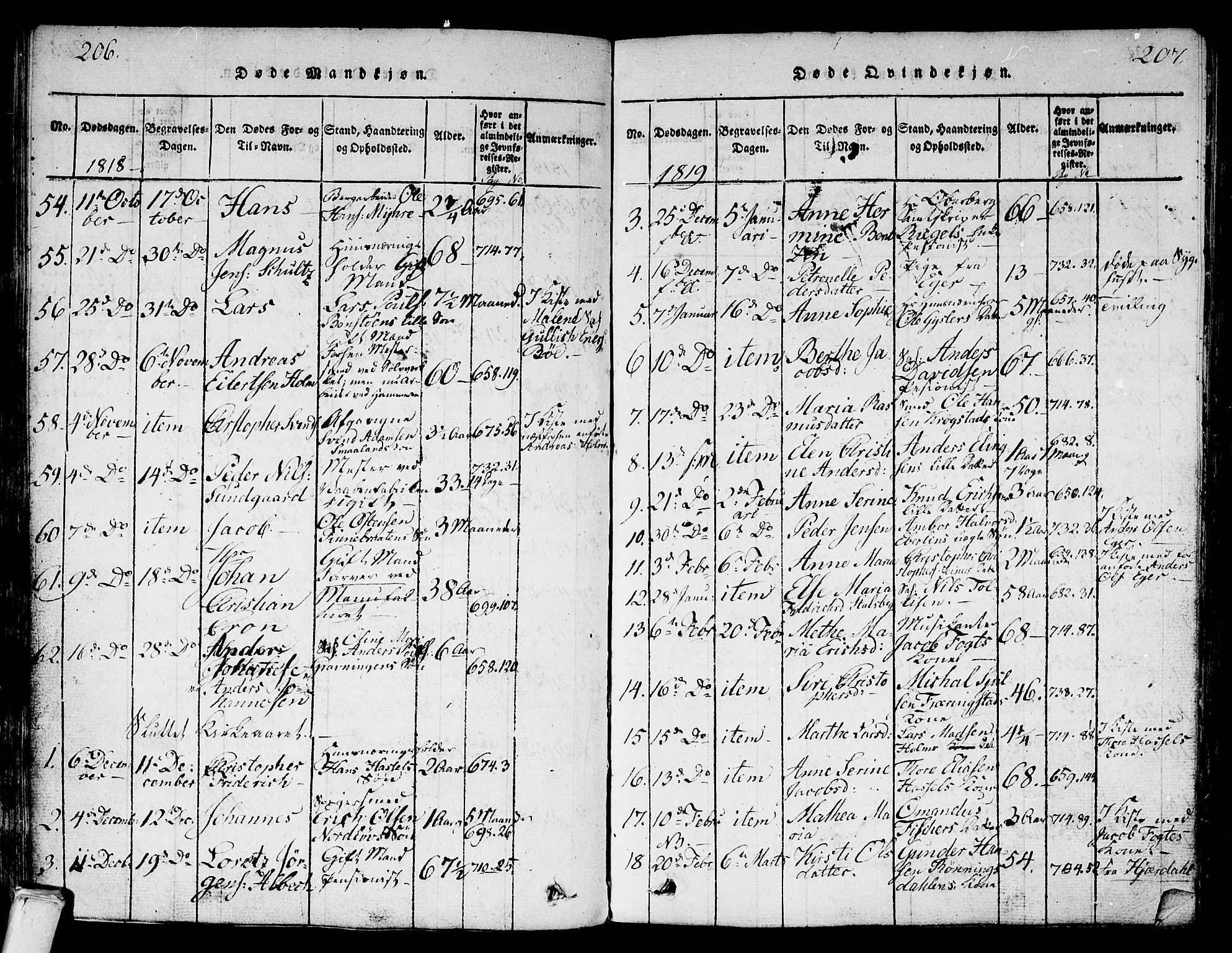 Kongsberg kirkebøker, SAKO/A-22/G/Ga/L0001: Parish register (copy) no. 1, 1816-1839, p. 206-207