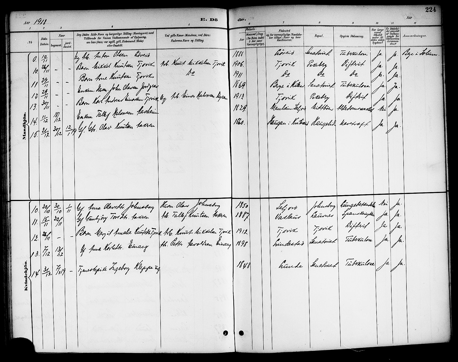 Kviteseid kirkebøker, AV/SAKO-A-276/G/Ga/L0002: Parish register (copy) no. I 2, 1893-1918, p. 224