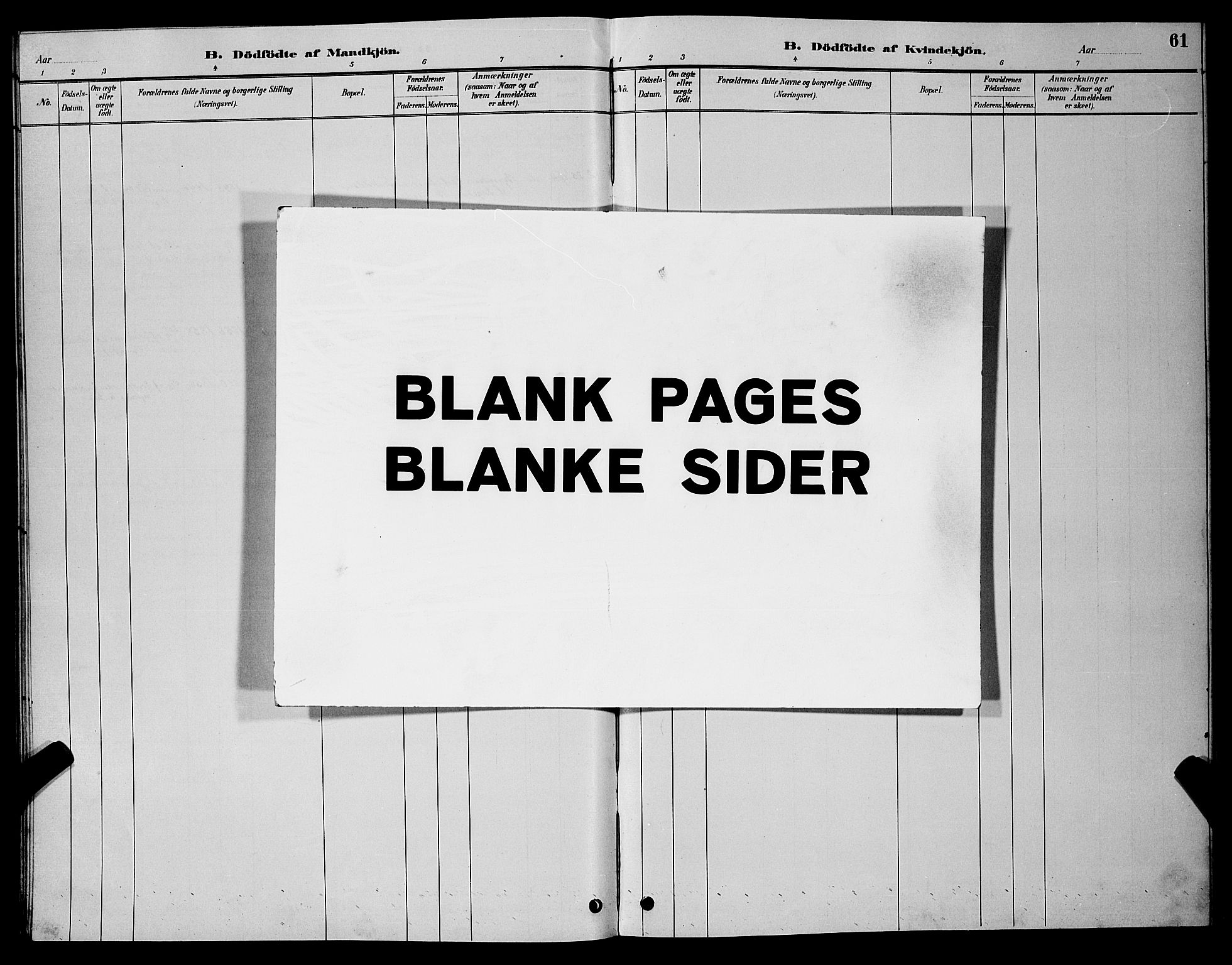 Vestre Moland sokneprestkontor, AV/SAK-1111-0046/F/Fb/Fba/L0001: Parish register (copy) no. B 1, 1884-1903, p. 61