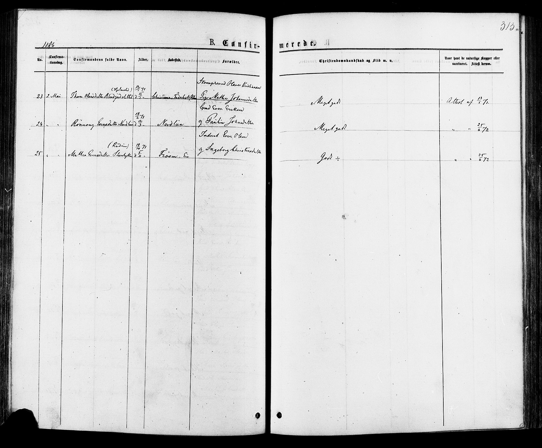 Østre Gausdal prestekontor, SAH/PREST-092/H/Ha/Haa/L0001: Parish register (official) no. 1, 1874-1886, p. 313
