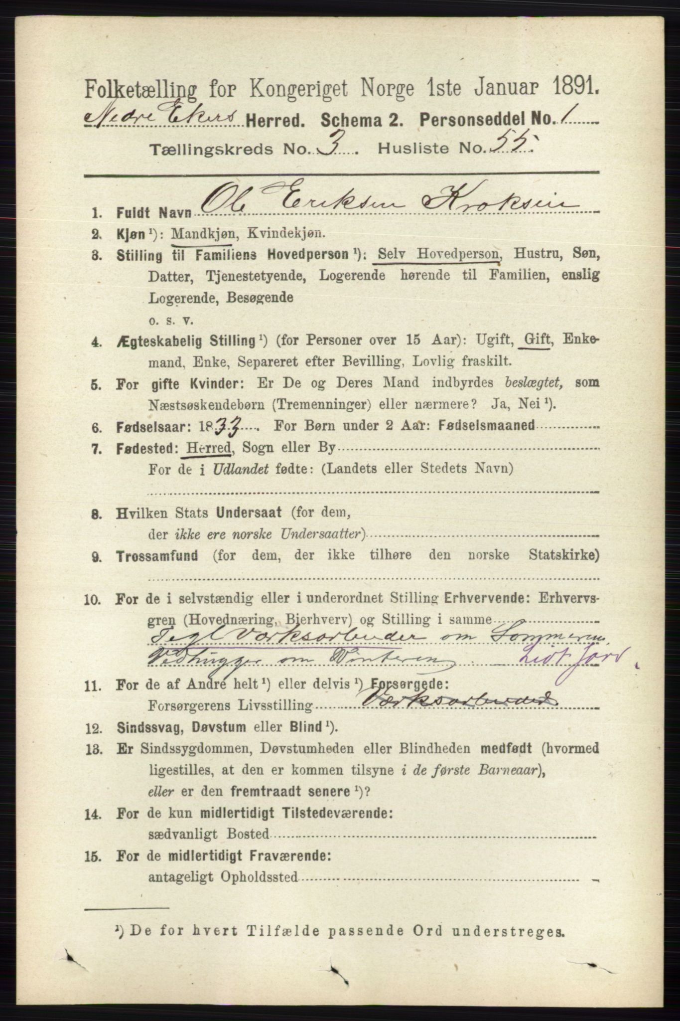 RA, 1891 census for 0625 Nedre Eiker, 1891, p. 1480