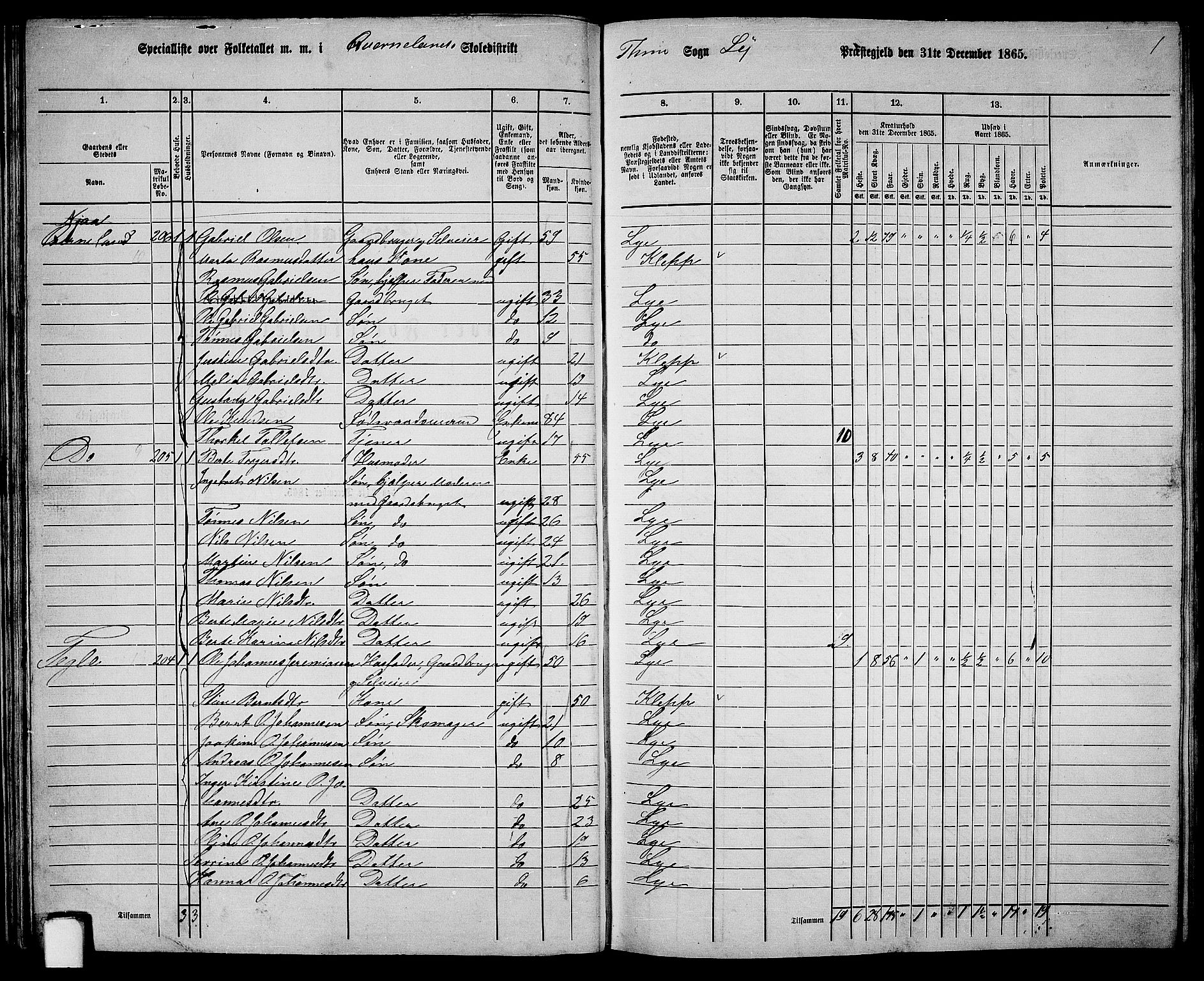 RA, 1865 census for Lye, 1865, p. 33