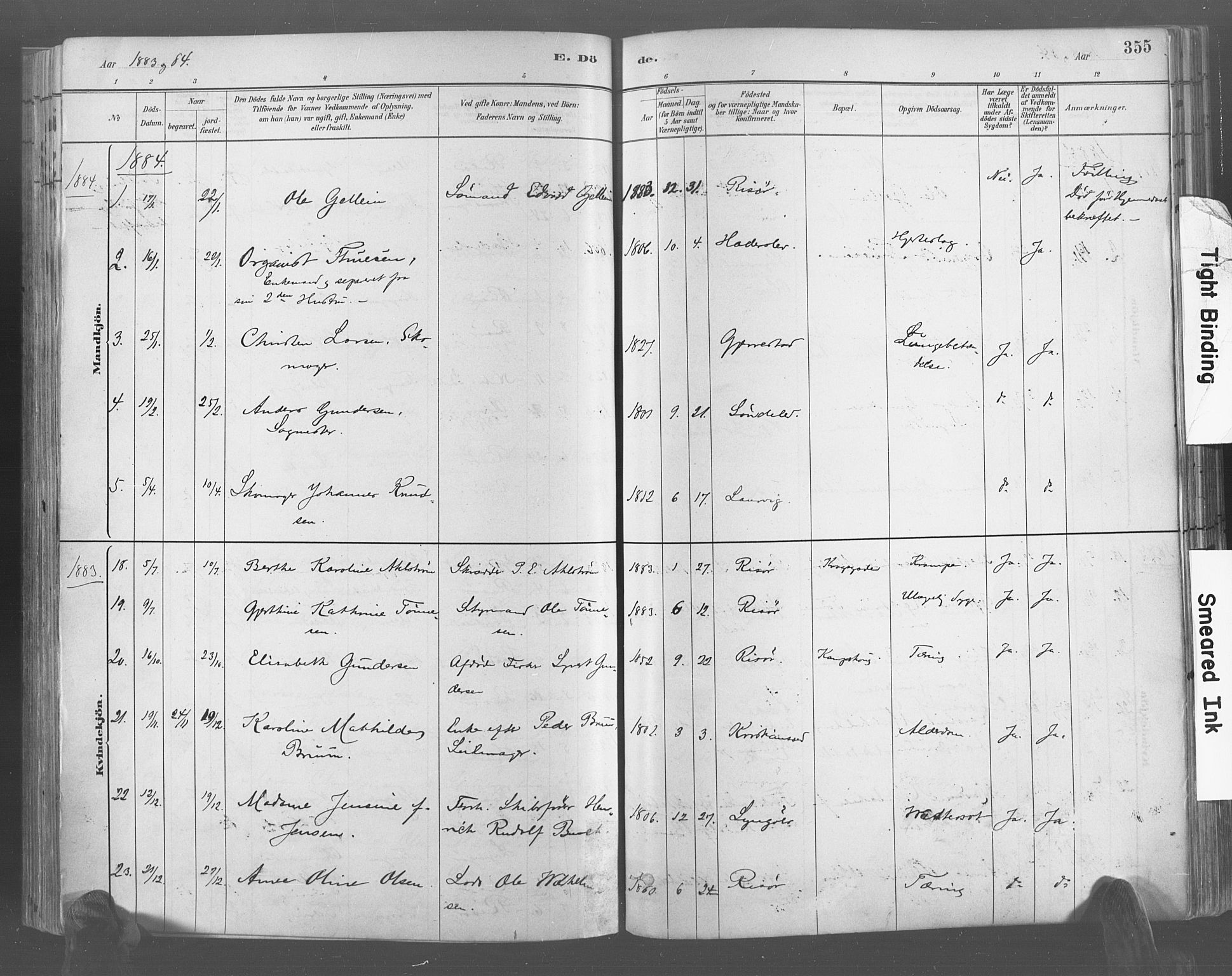 Risør sokneprestkontor, AV/SAK-1111-0035/F/Fa/L0005: Parish register (official) no. A 5, 1883-1895, p. 355