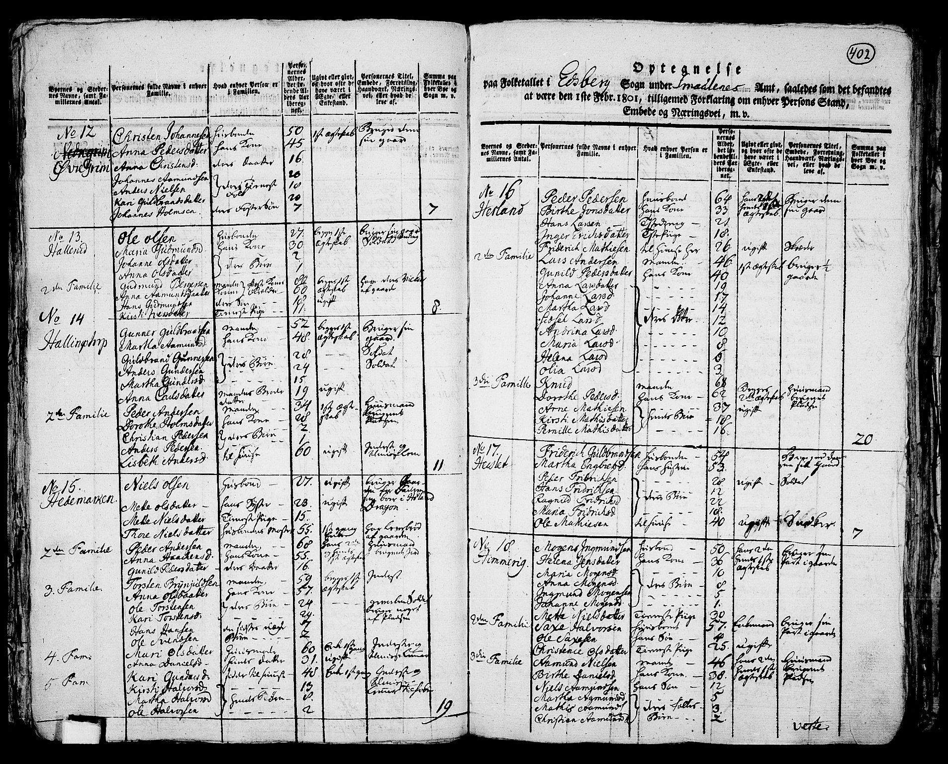 RA, 1801 census for 0125P Eidsberg, 1801, p. 401b-402a