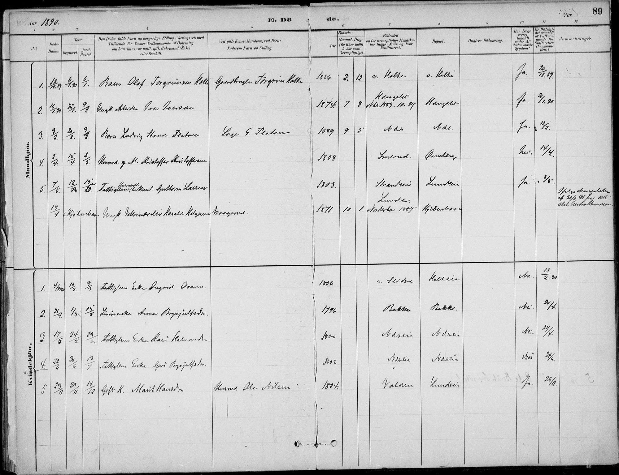 Ådal kirkebøker, AV/SAKO-A-248/F/Fa/L0004: Parish register (official) no. I 4, 1884-1904, p. 89