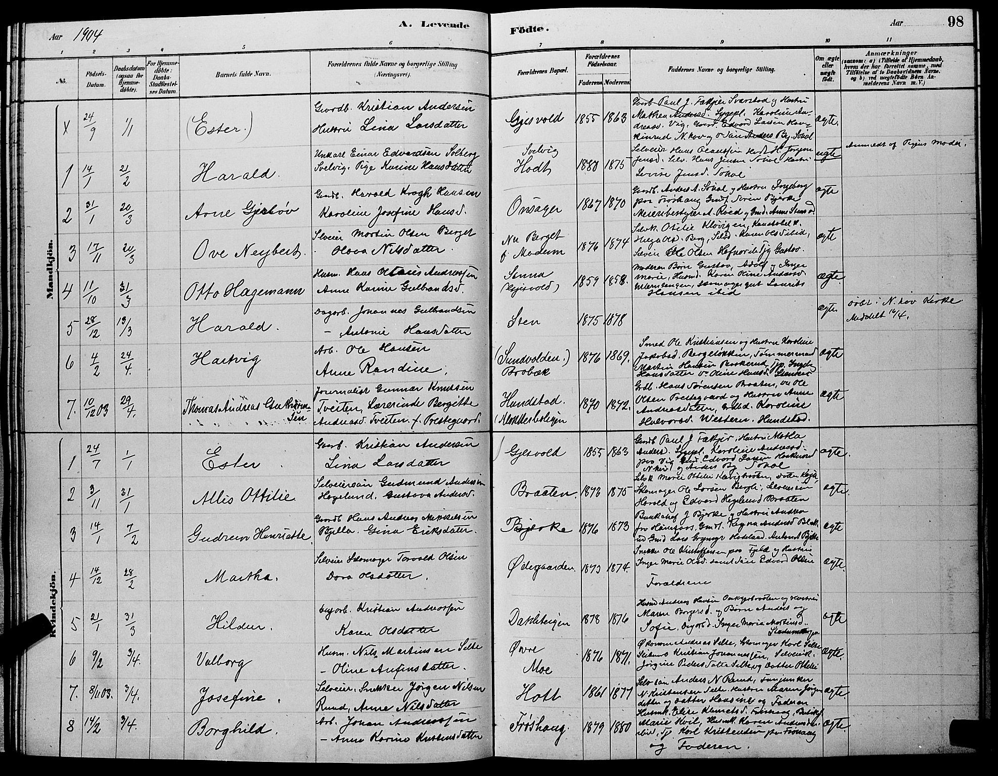 Hole kirkebøker, SAKO/A-228/G/Ga/L0003: Parish register (copy) no. I 3, 1879-1904, p. 98