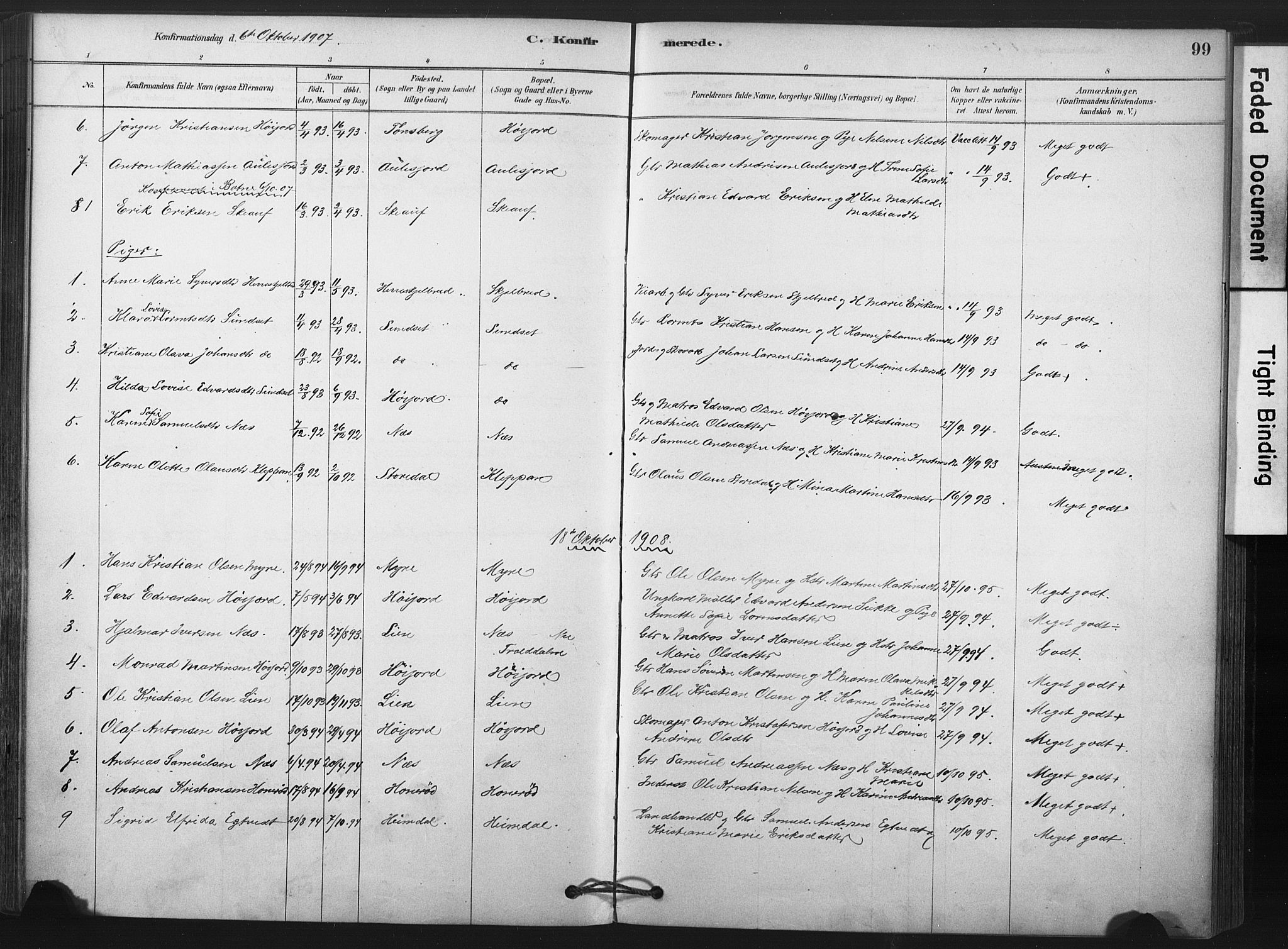 Andebu kirkebøker, AV/SAKO-A-336/F/Fa/L0009: Parish register (official) no. 9, 1878-1909, p. 99