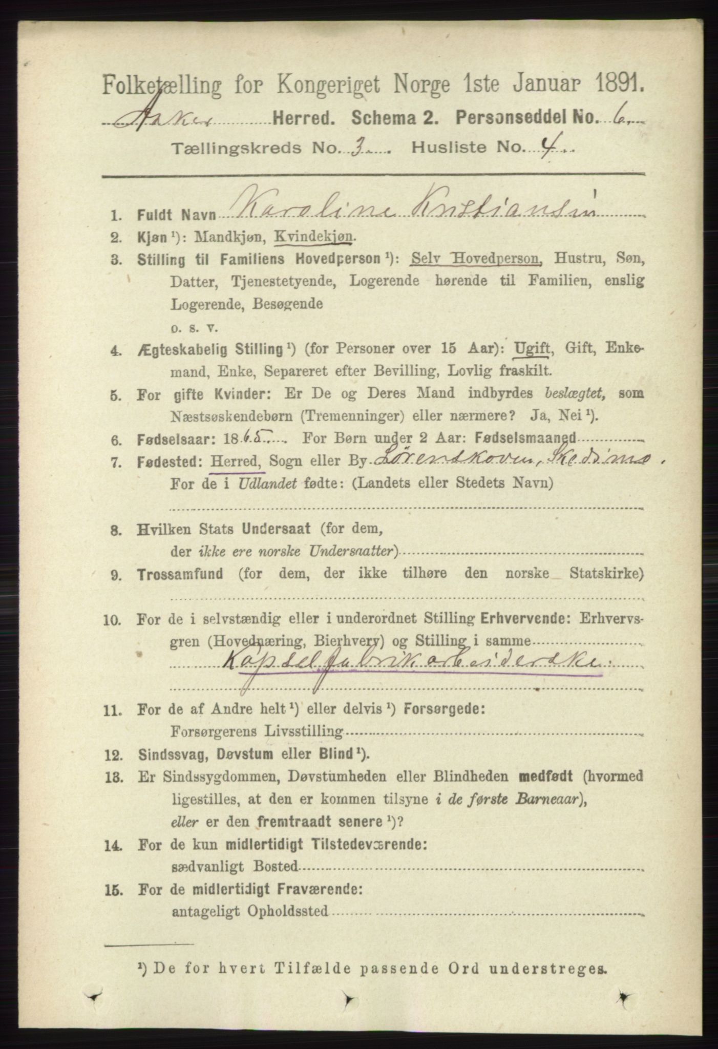 RA, 1891 census for 0220 Asker, 1891, p. 2009