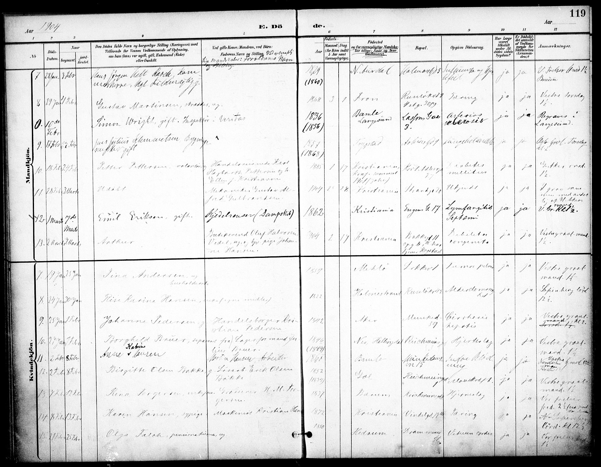 Johannes prestekontor Kirkebøker, SAO/A-10852/F/Fa/L0008: Parish register (official) no. 8, 1897-1917, p. 119