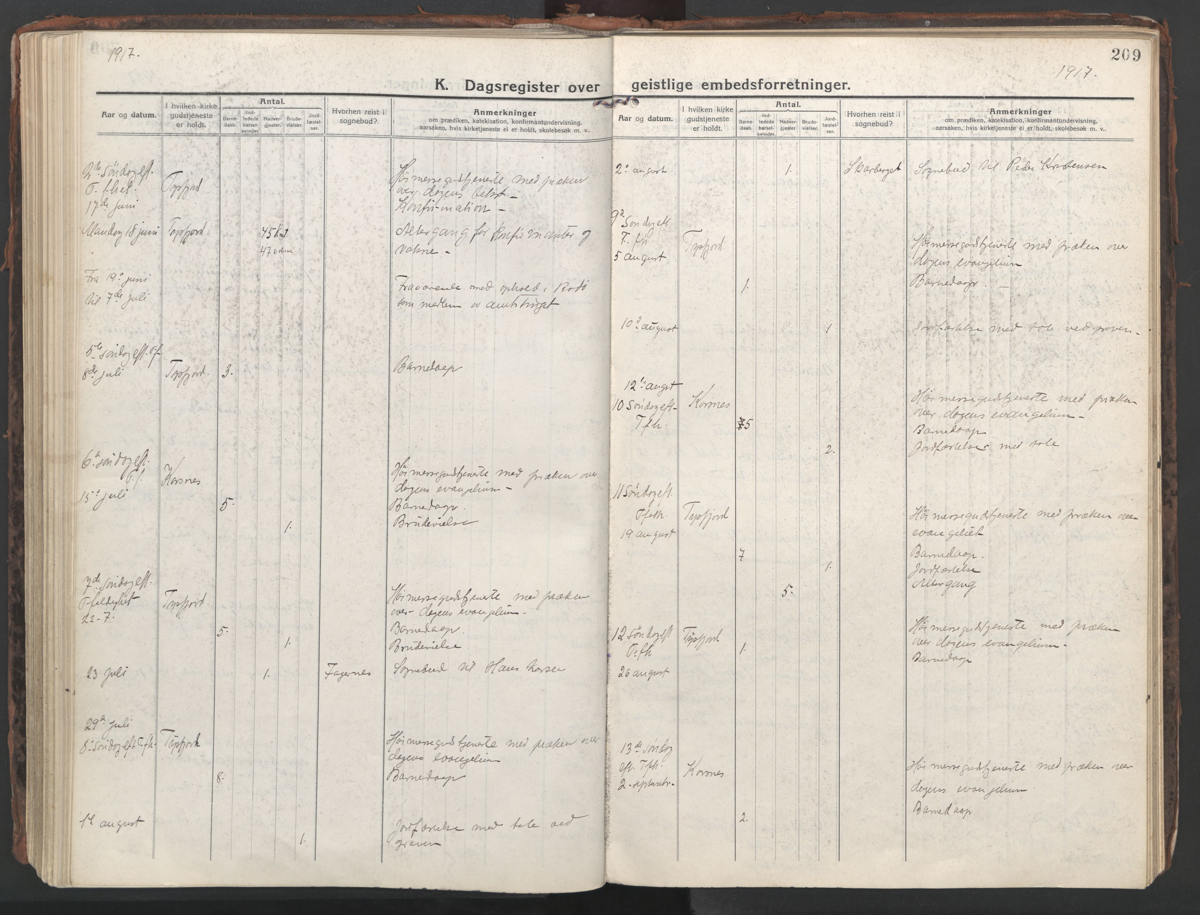 Ministerialprotokoller, klokkerbøker og fødselsregistre - Nordland, AV/SAT-A-1459/861/L0872: Parish register (official) no. 861A07, 1915-1924, p. 209