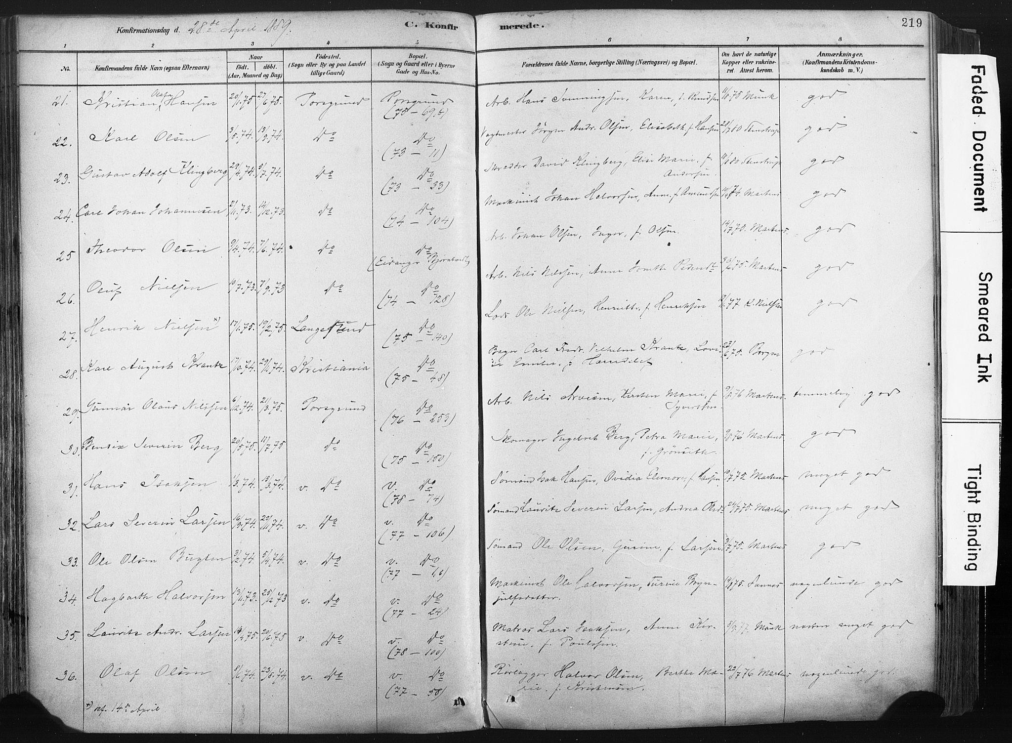 Porsgrunn kirkebøker , AV/SAKO-A-104/F/Fa/L0008: Parish register (official) no. 8, 1878-1895, p. 219