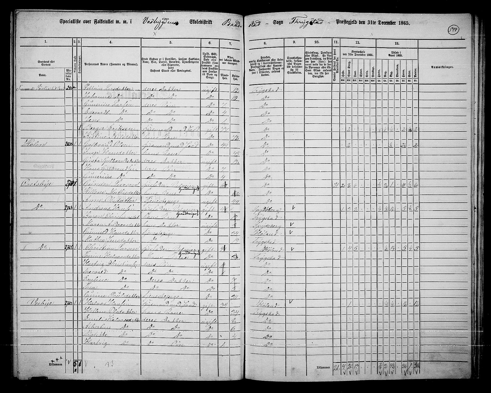 RA, 1865 census for Trøgstad, 1865, p. 159