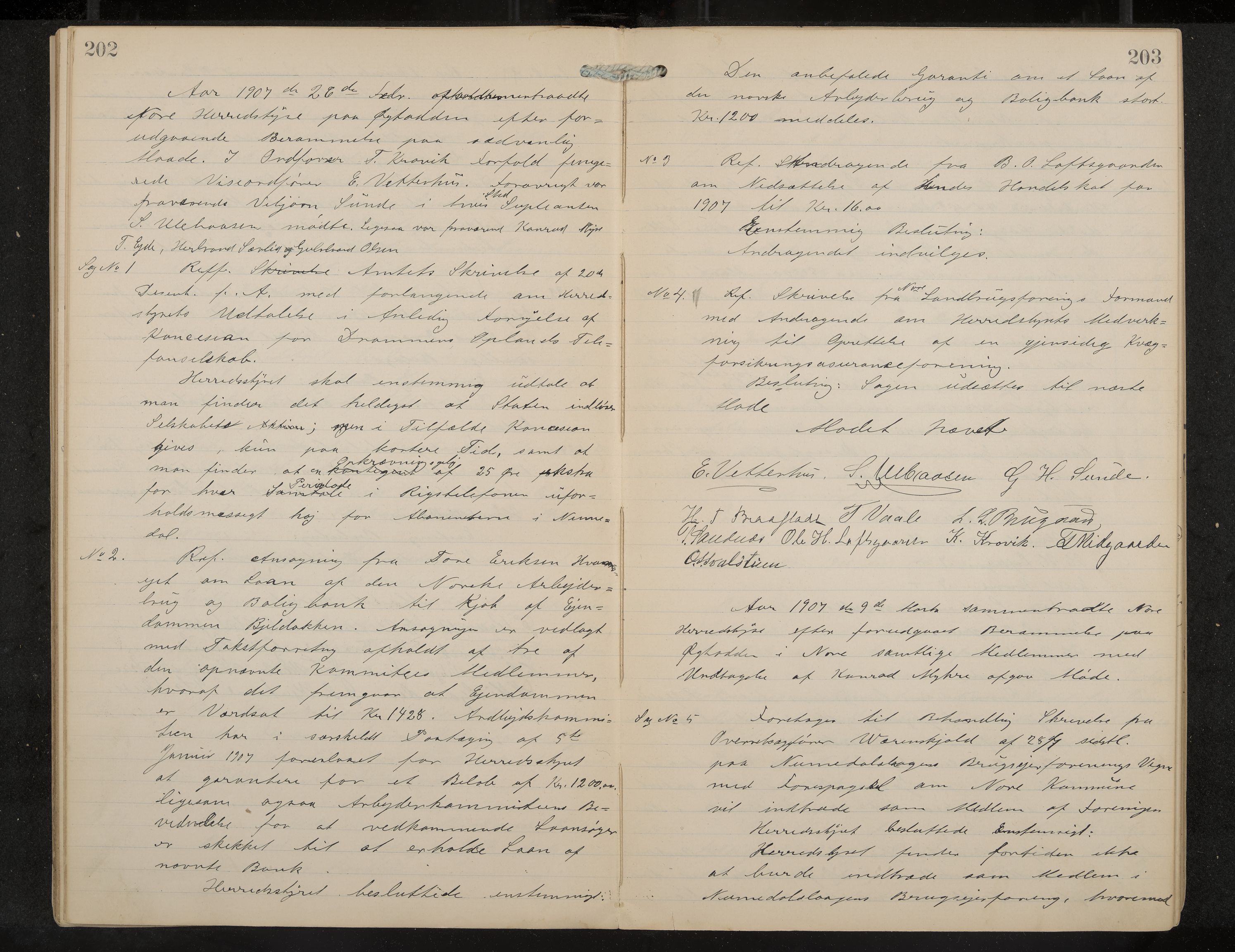 Nore formannskap og sentraladministrasjon, IKAK/0633021-2/A/Aa/L0001: Møtebok, 1901-1911, p. 202-203