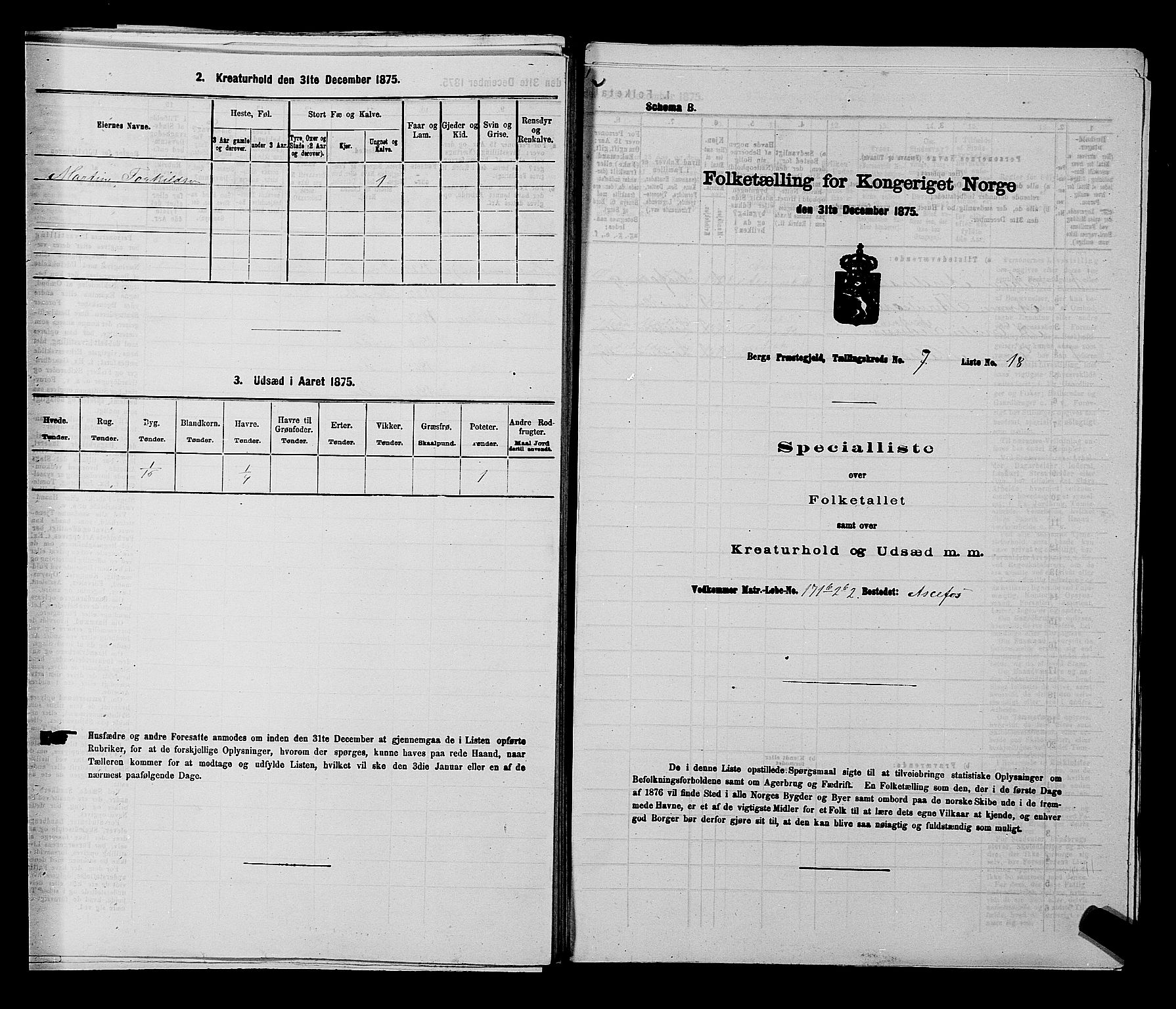 RA, 1875 census for 0116P Berg, 1875, p. 1155