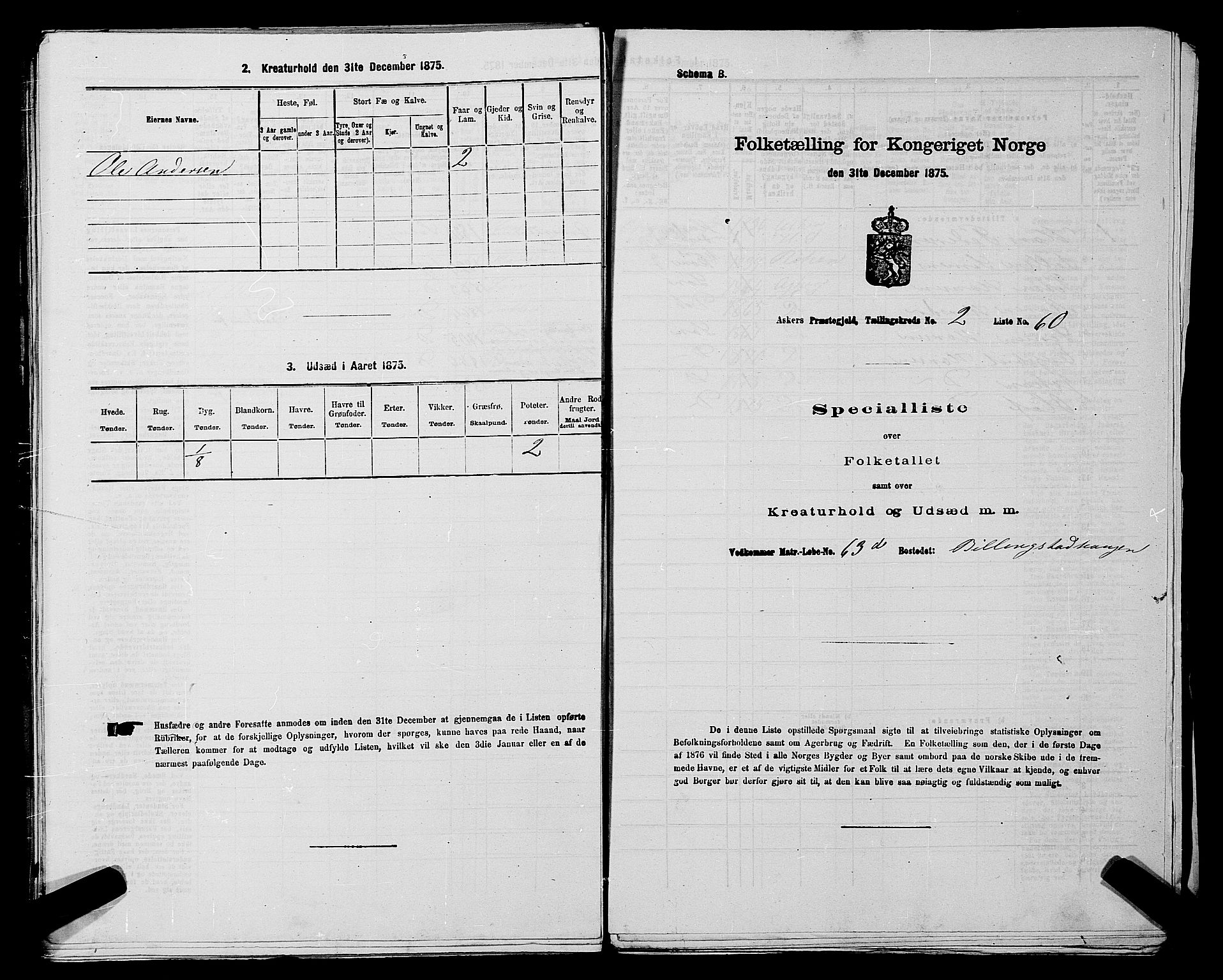 RA, 1875 census for 0220P Asker, 1875, p. 2817