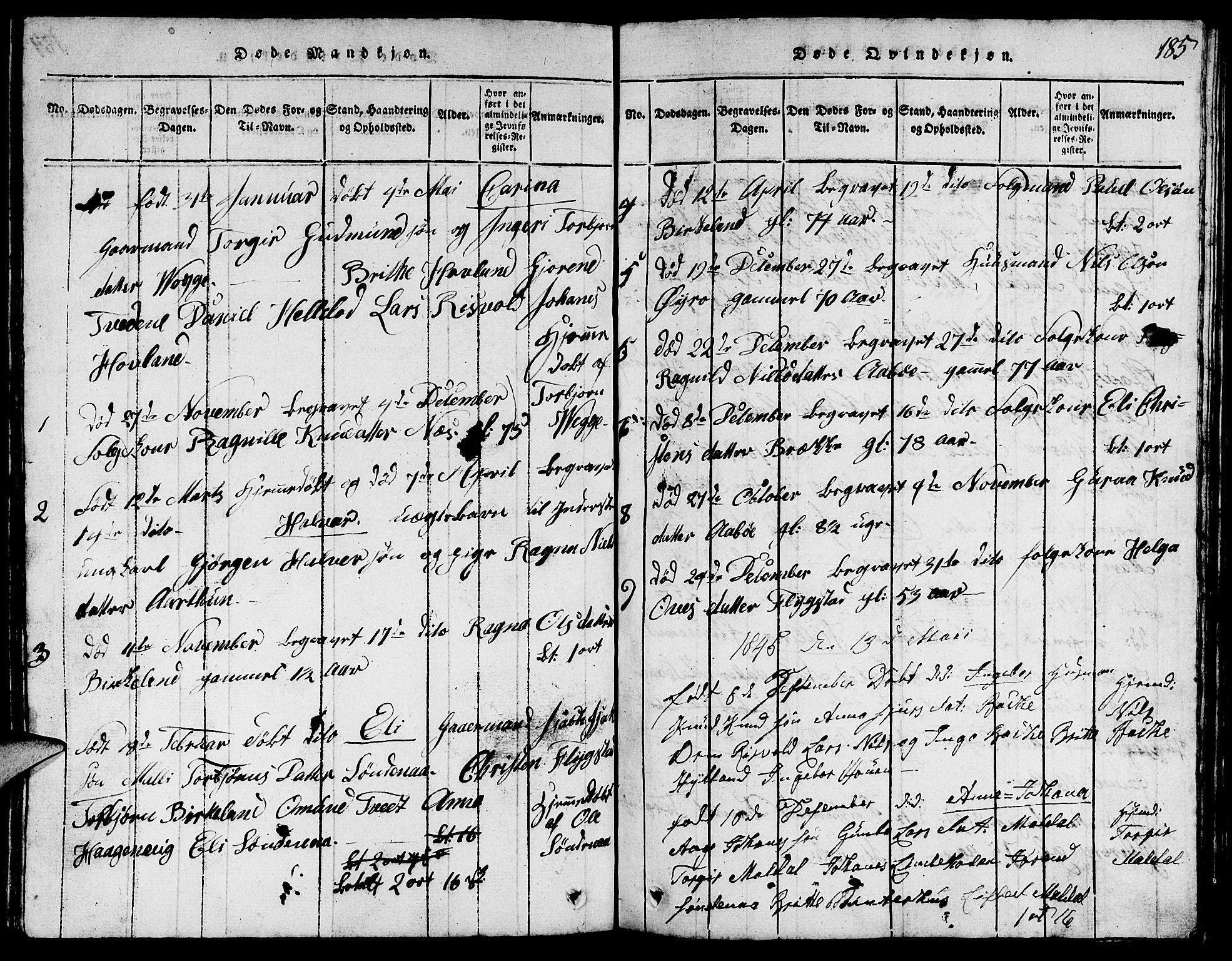 Suldal sokneprestkontor, SAST/A-101845/01/V/L0002: Parish register (copy) no. B 2, 1816-1845, p. 185