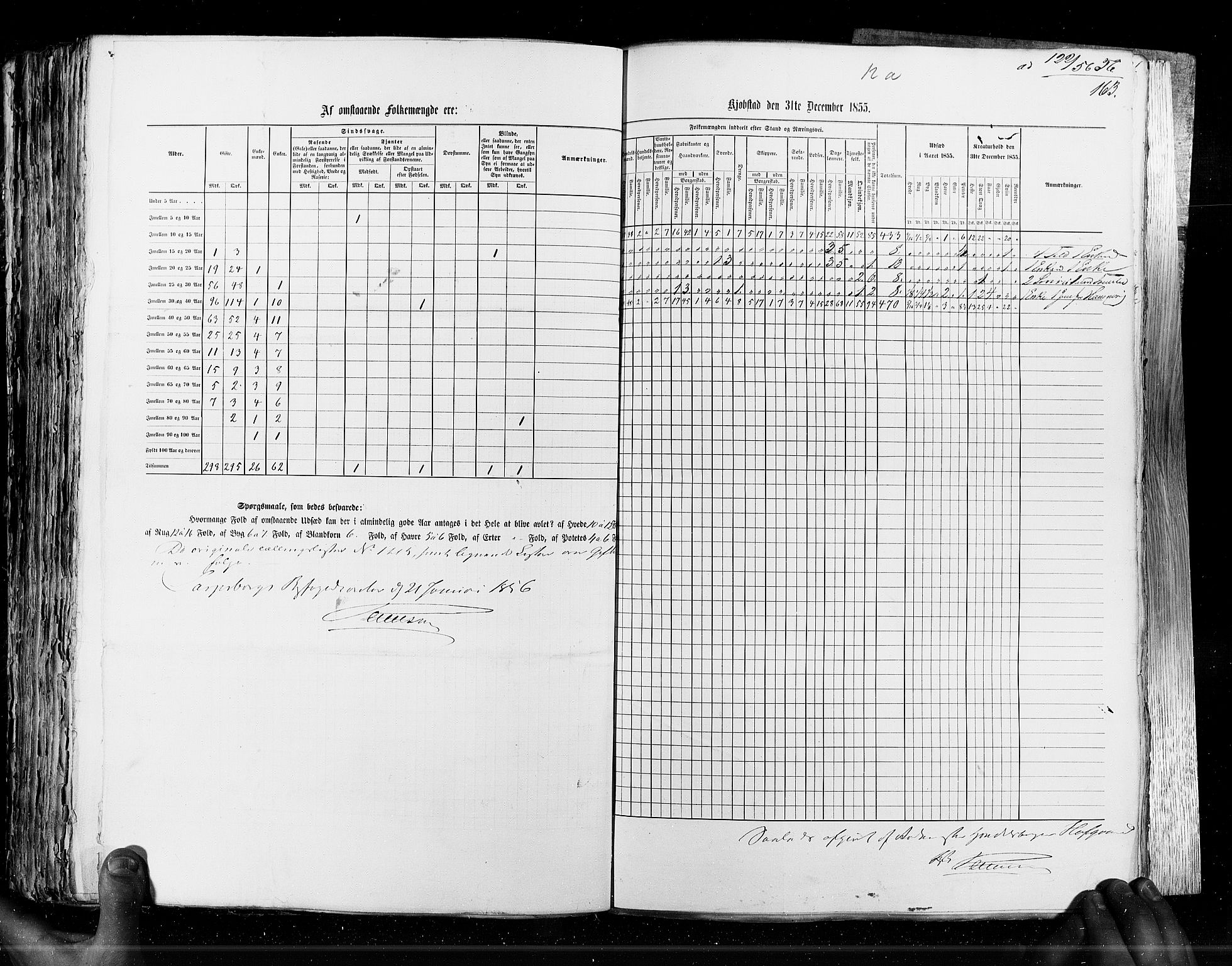 RA, Census 1855, vol. 7: Fredrikshald-Kragerø, 1855, p. 163