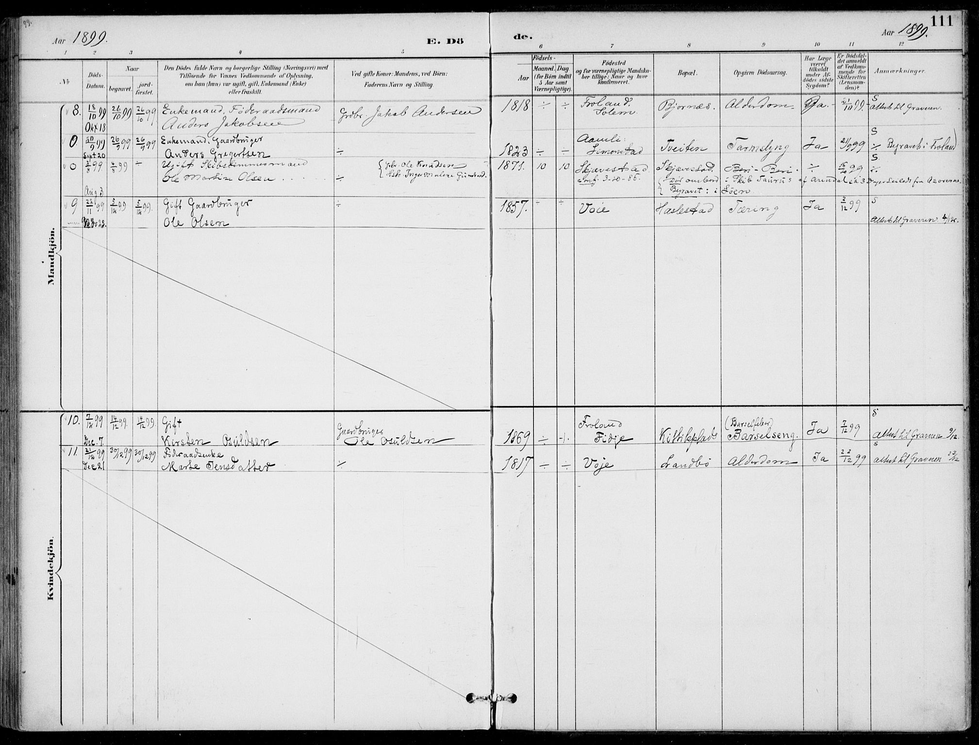 Austre Moland sokneprestkontor, SAK/1111-0001/F/Fa/Faa/L0011: Parish register (official) no. A 11, 1894-1915, p. 111