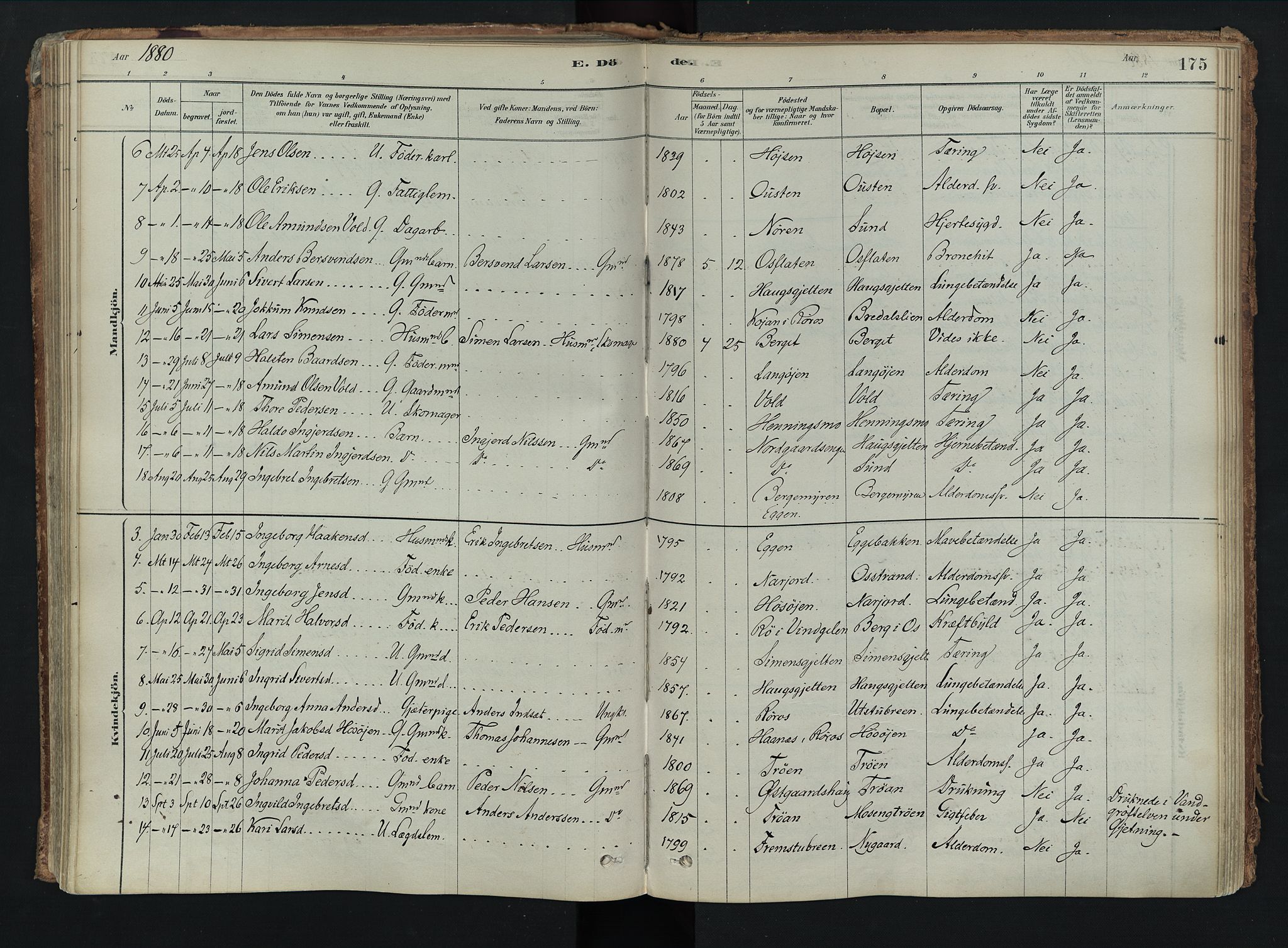 Tolga prestekontor, AV/SAH-PREST-062/K/L0008: Parish register (official) no. 8, 1877-1910, p. 175