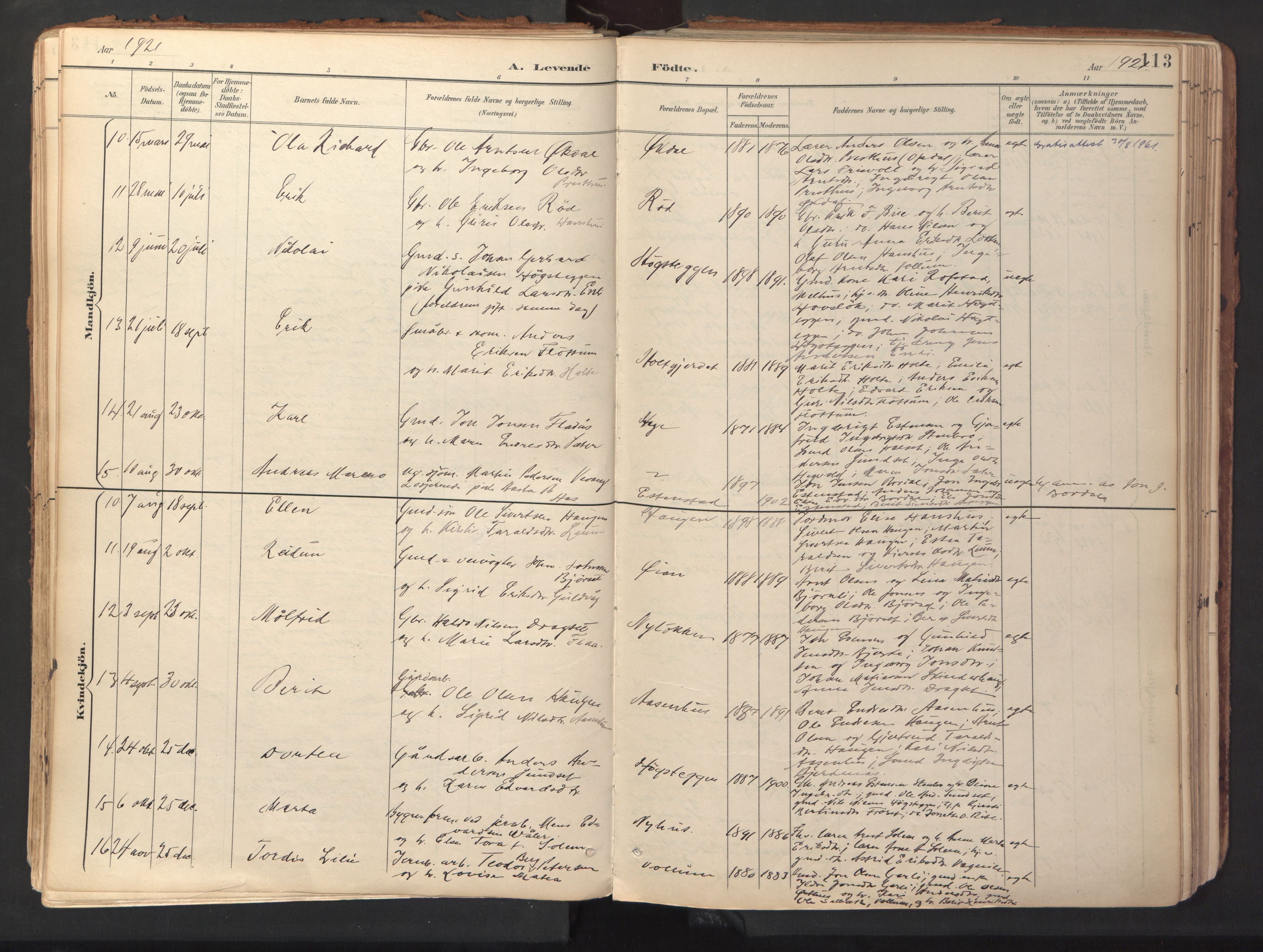 Ministerialprotokoller, klokkerbøker og fødselsregistre - Sør-Trøndelag, SAT/A-1456/689/L1041: Parish register (official) no. 689A06, 1891-1923, p. 113