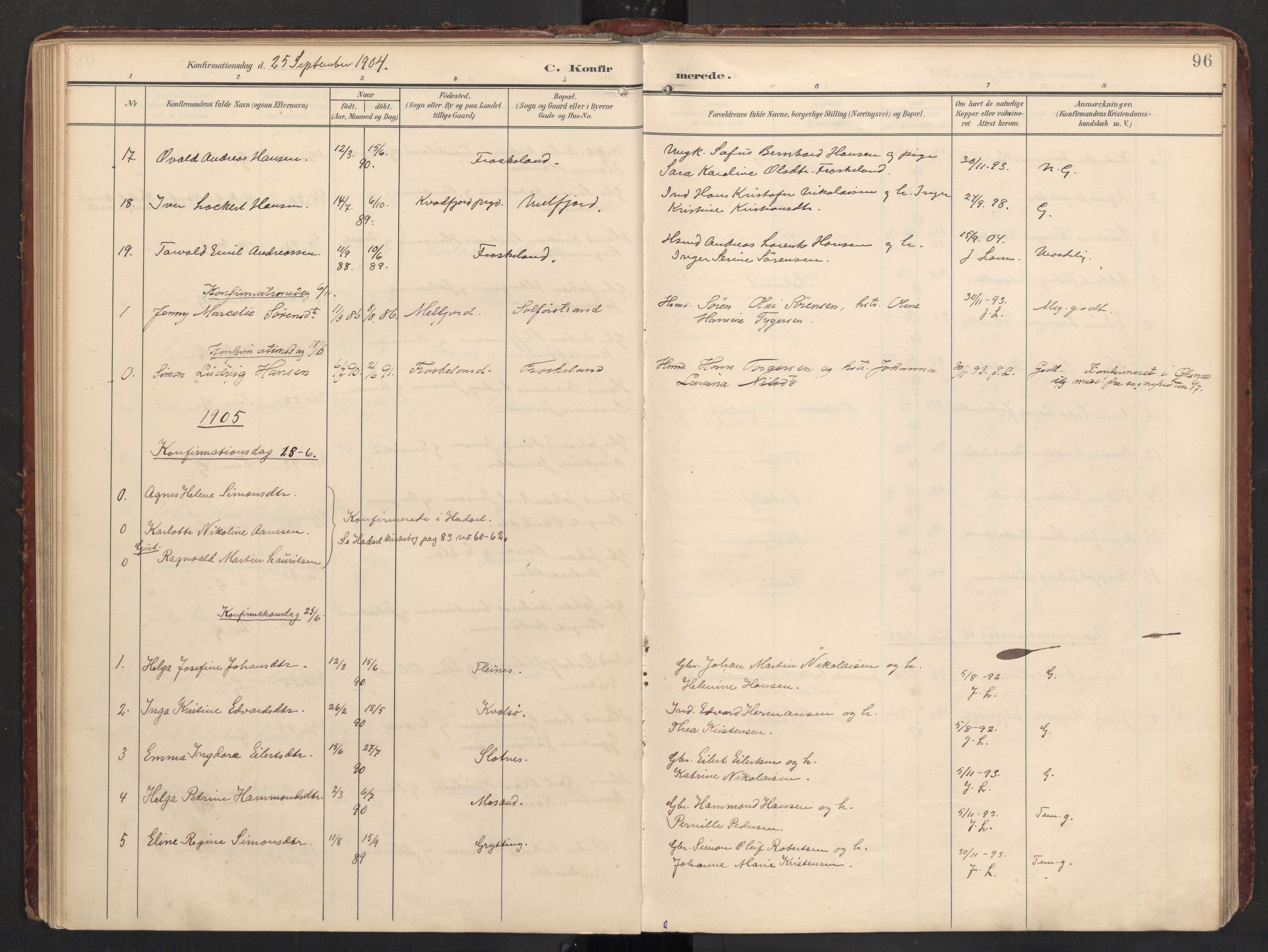 Ministerialprotokoller, klokkerbøker og fødselsregistre - Nordland, AV/SAT-A-1459/890/L1287: Parish register (official) no. 890A02, 1903-1915, p. 96