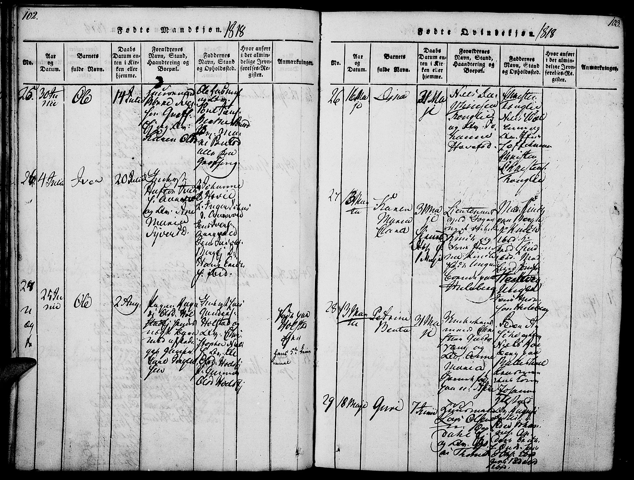 Nes prestekontor, Hedmark, AV/SAH-PREST-020/K/Ka/L0002: Parish register (official) no. 2, 1813-1827, p. 102-103