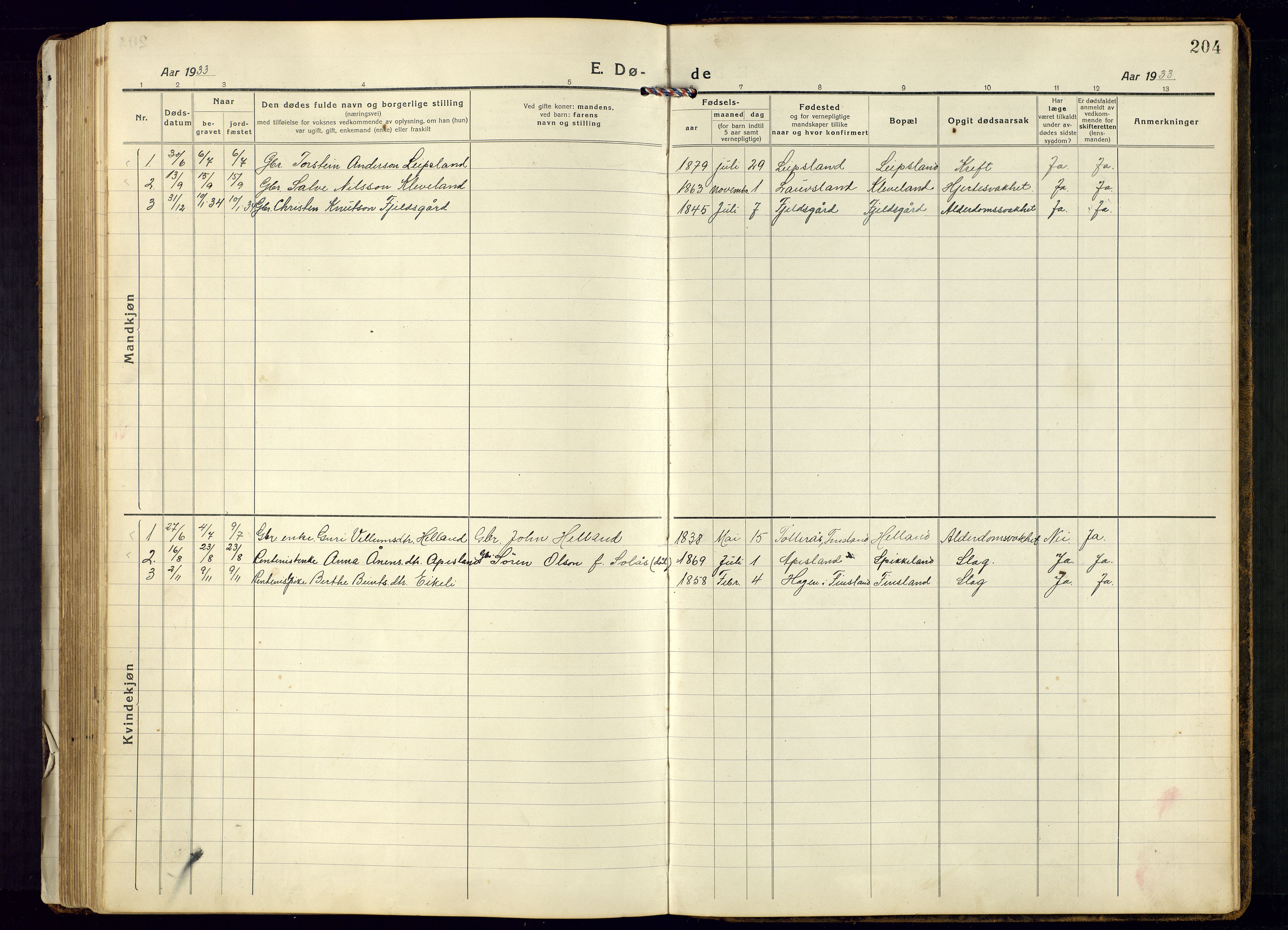 Bjelland sokneprestkontor, SAK/1111-0005/F/Fb/Fbb/L0006: Parish register (copy) no. B-6, 1918-1946, p. 204