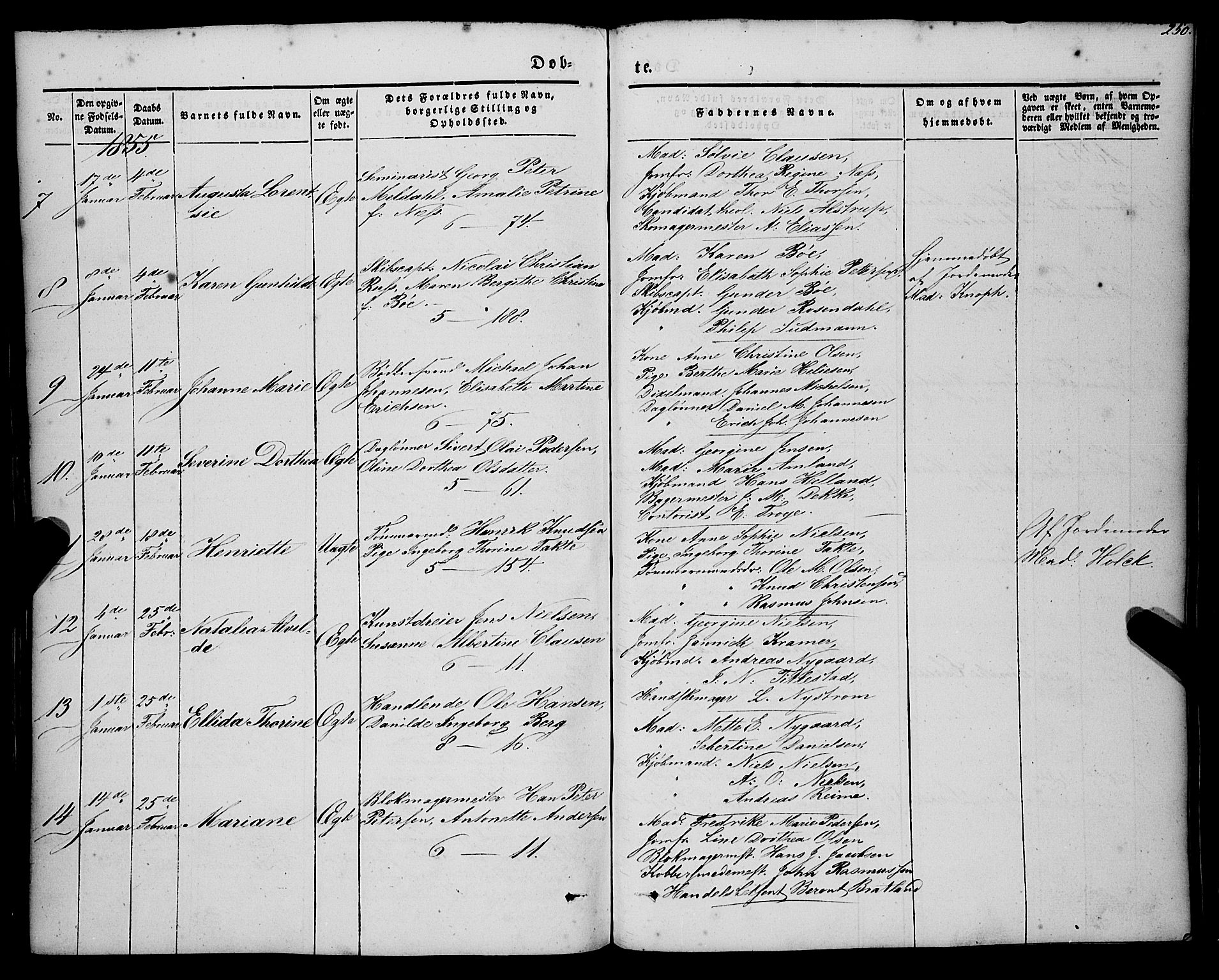 Nykirken Sokneprestembete, AV/SAB-A-77101/H/Haa/L0014: Parish register (official) no. B 1, 1844-1858, p. 250