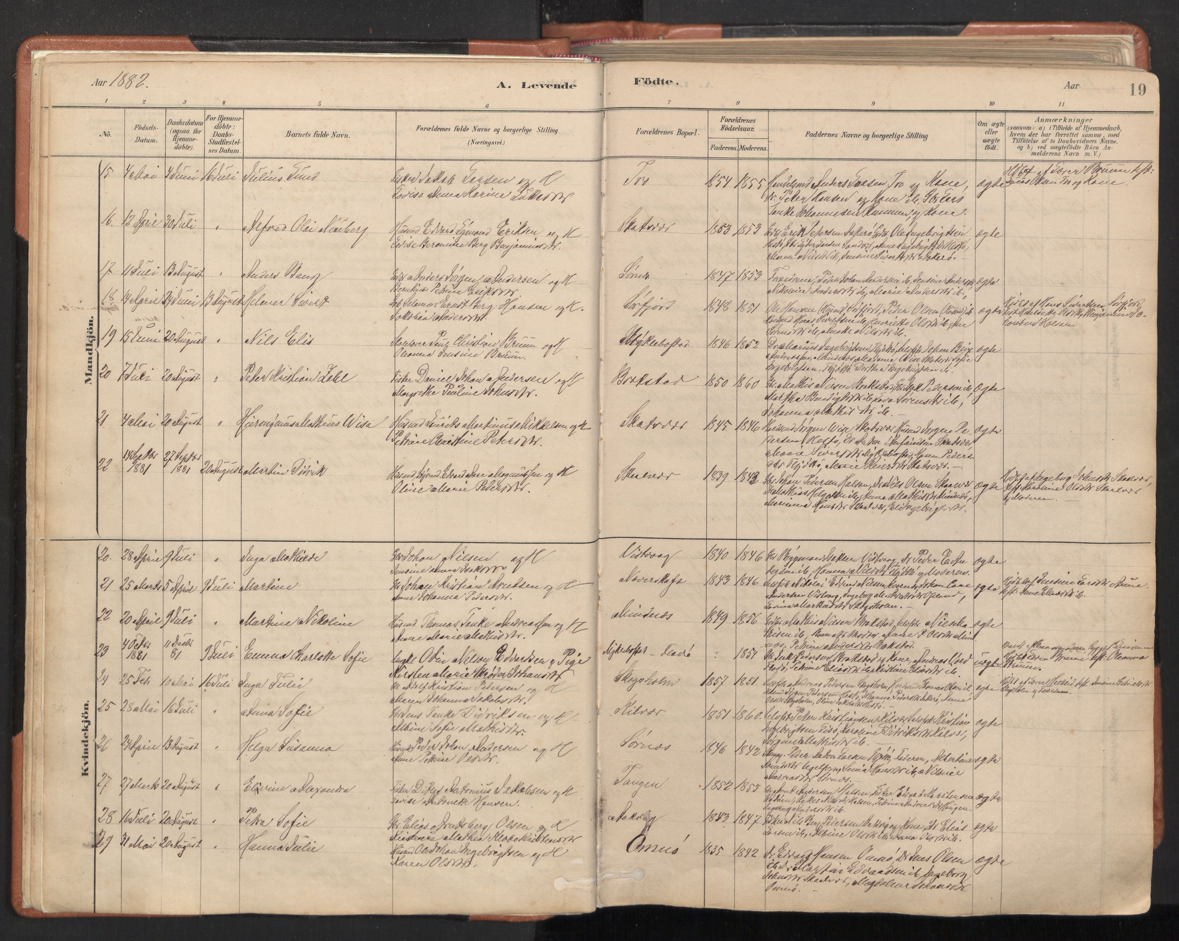 Ministerialprotokoller, klokkerbøker og fødselsregistre - Nordland, AV/SAT-A-1459/817/L0264: Parish register (official) no. 817A04, 1878-1907, p. 19