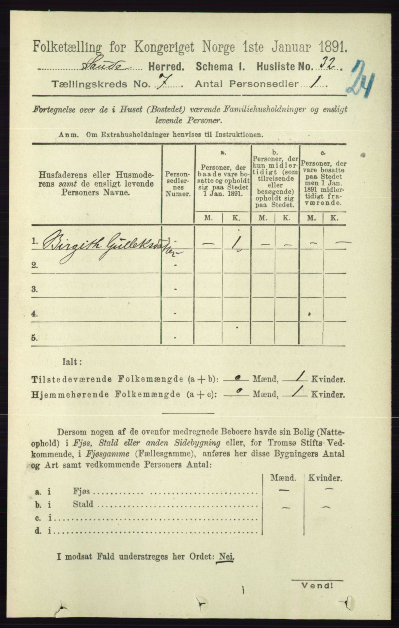 RA, 1891 census for 0822 Sauherad, 1891, p. 2015