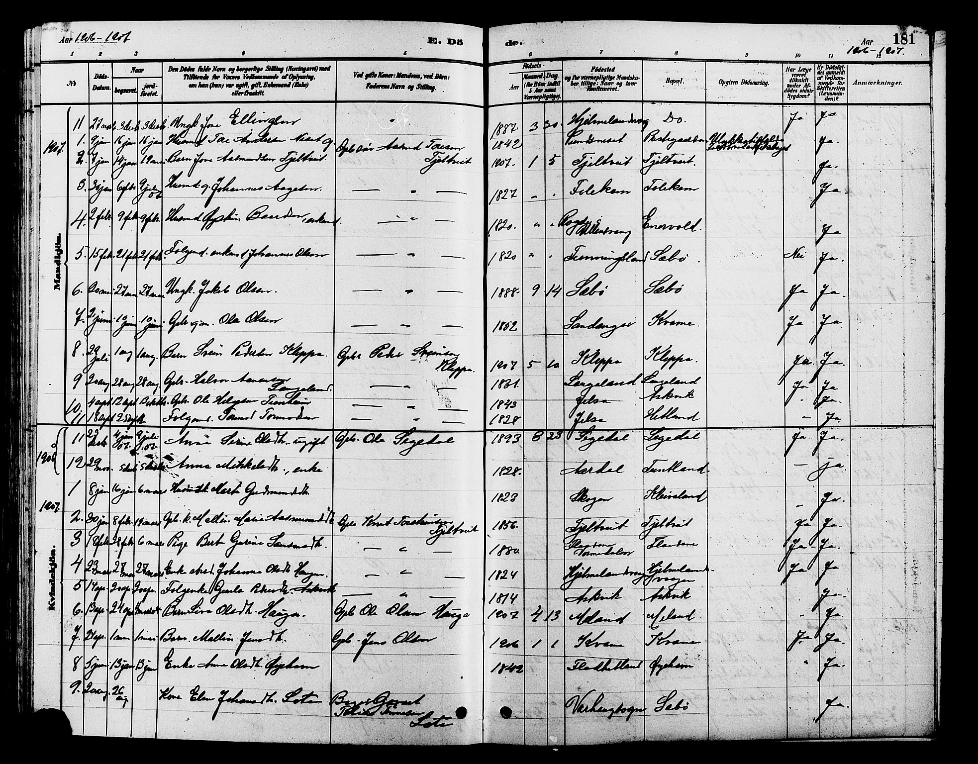 Hjelmeland sokneprestkontor, AV/SAST-A-101843/01/V/L0007: Parish register (copy) no. B 7, 1880-1909, p. 181