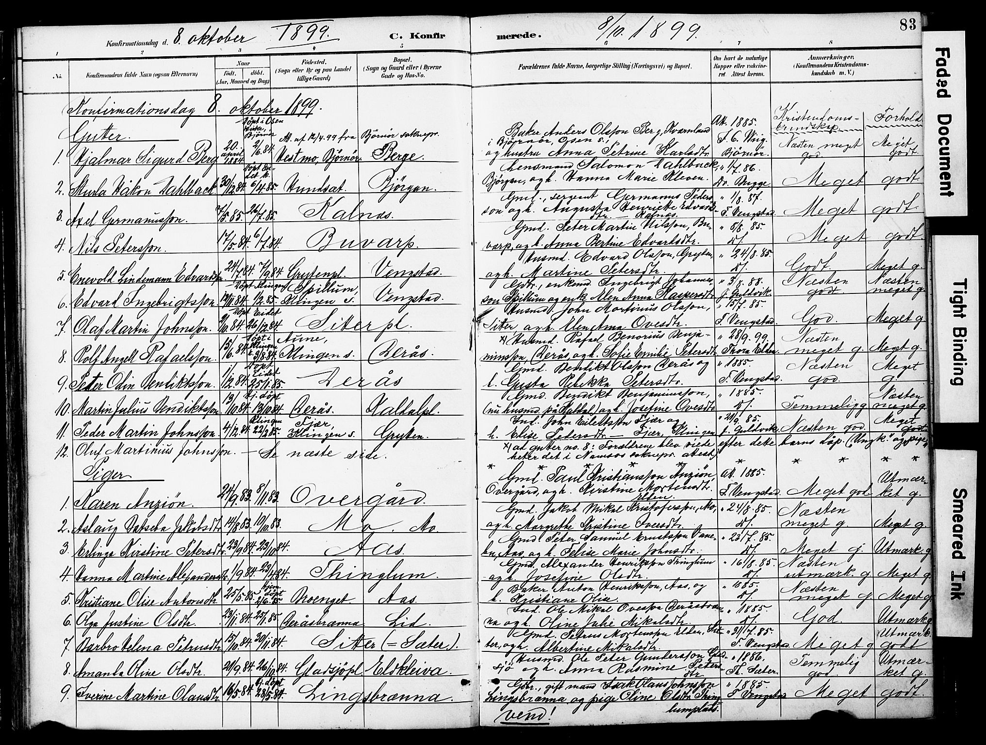 Ministerialprotokoller, klokkerbøker og fødselsregistre - Nord-Trøndelag, SAT/A-1458/742/L0409: Parish register (official) no. 742A02, 1891-1905, p. 83