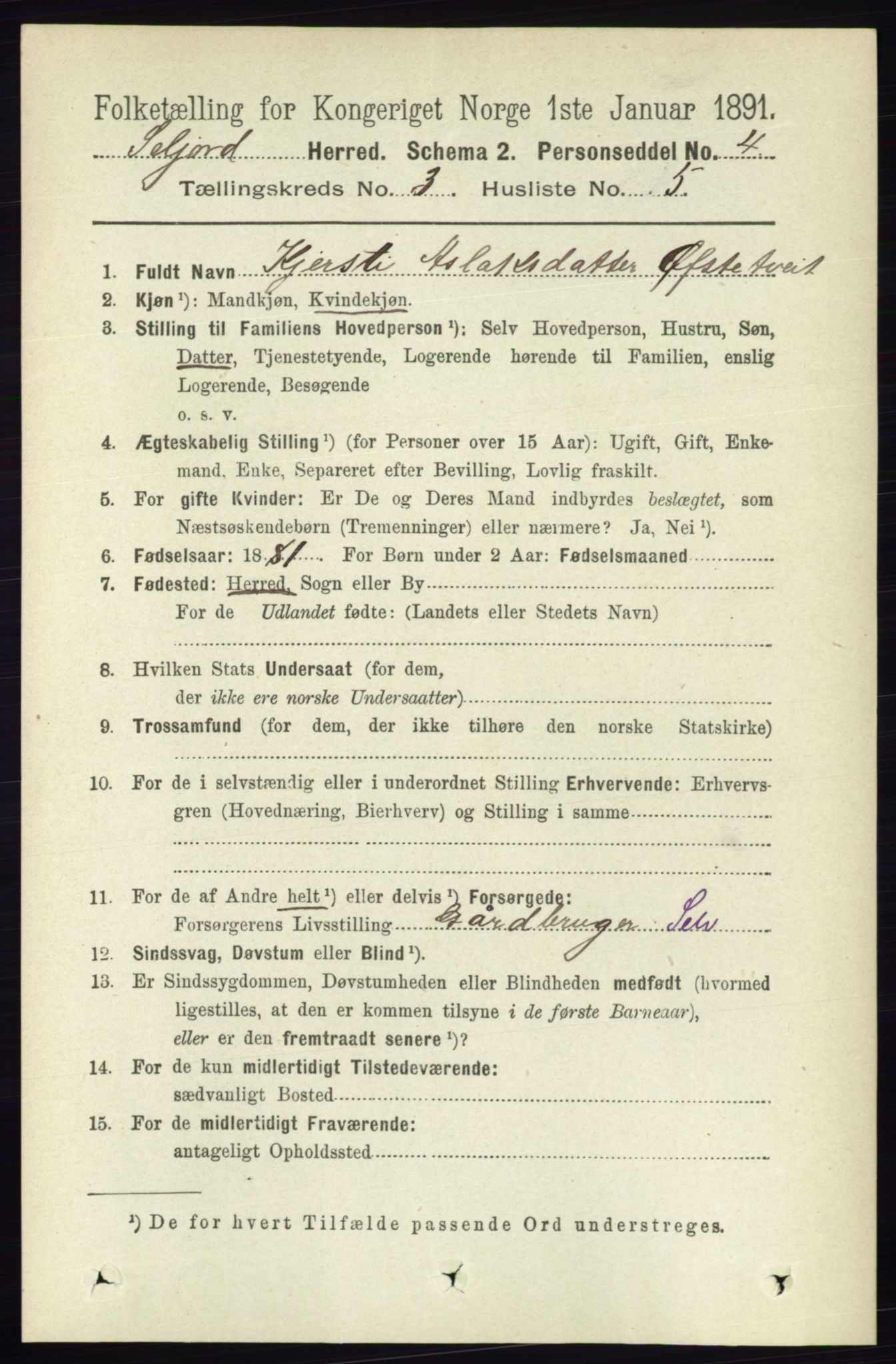 RA, 1891 census for 0828 Seljord, 1891, p. 1001