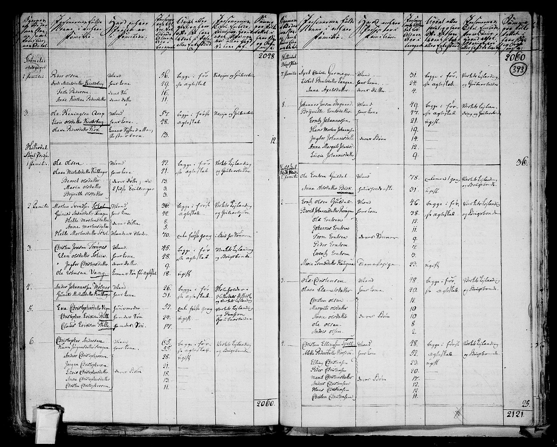 RA, 1801 census for 1640P Røros, 1801, p. 392b-393a