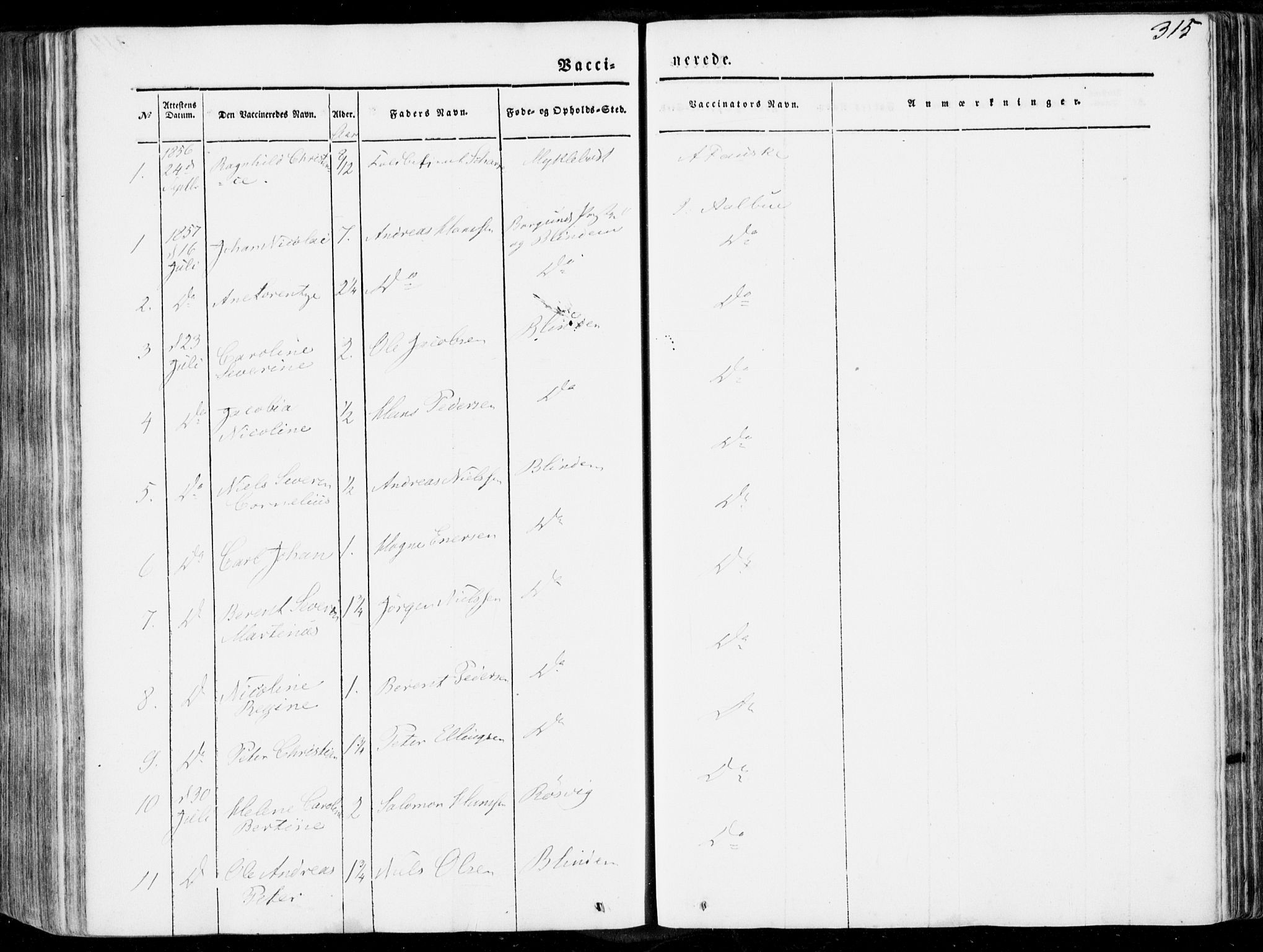 Ministerialprotokoller, klokkerbøker og fødselsregistre - Møre og Romsdal, SAT/A-1454/536/L0497: Parish register (official) no. 536A06, 1845-1865, p. 315