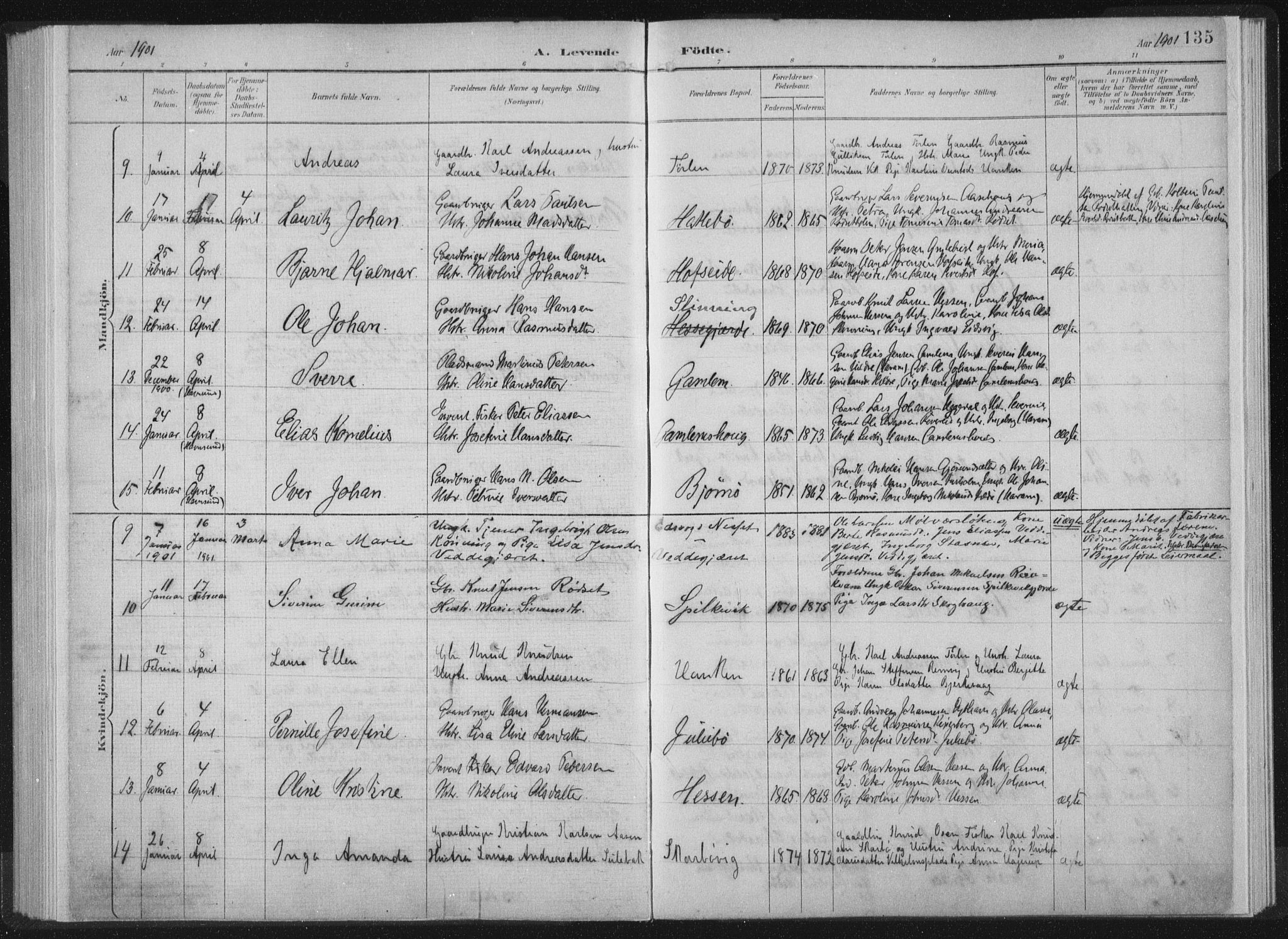 Ministerialprotokoller, klokkerbøker og fødselsregistre - Møre og Romsdal, AV/SAT-A-1454/528/L0405: Parish register (official) no. 528A14, 1891-1906, p. 135