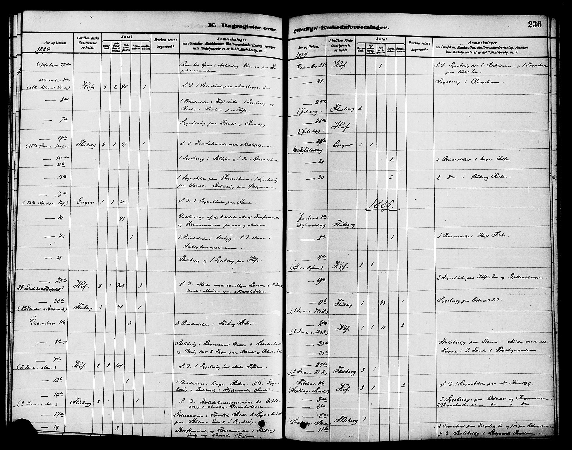 Søndre Land prestekontor, SAH/PREST-122/K/L0002: Parish register (official) no. 2, 1878-1894, p. 236
