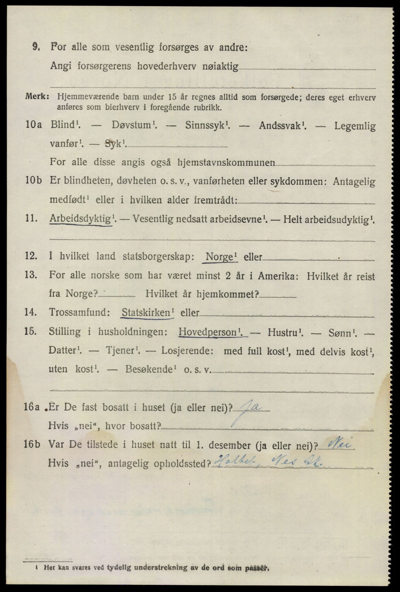 SAO, 1920 census for Nes, 1920, p. 5849