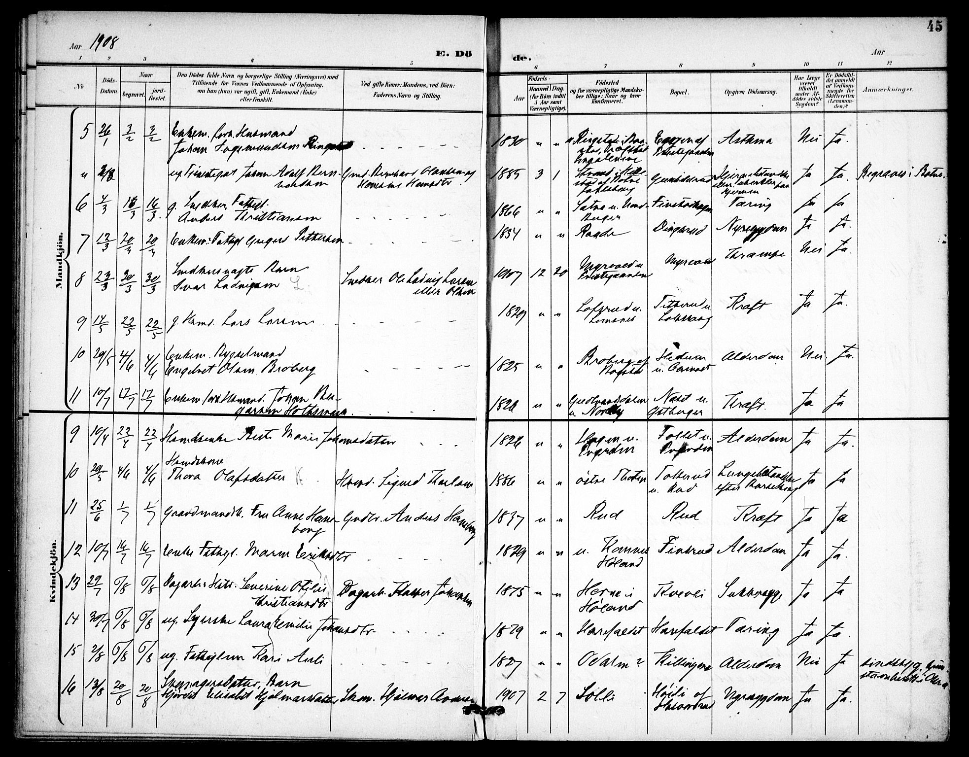 Aurskog prestekontor Kirkebøker, AV/SAO-A-10304a/F/Fa/L0013: Parish register (official) no. I 13, 1900-1910, p. 45