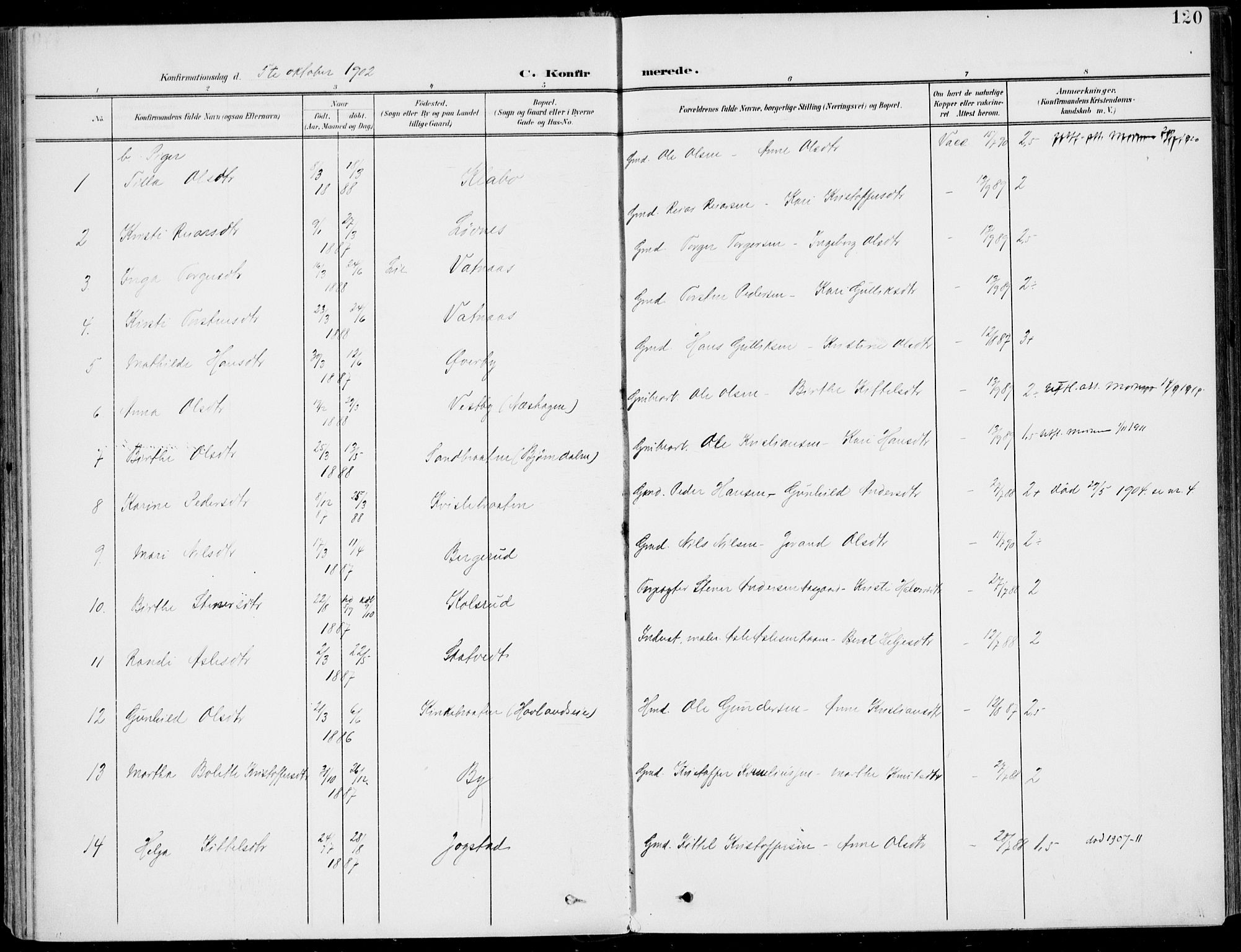 Sigdal kirkebøker, AV/SAKO-A-245/F/Fb/L0002: Parish register (official) no. II 2, 1901-1914, p. 120