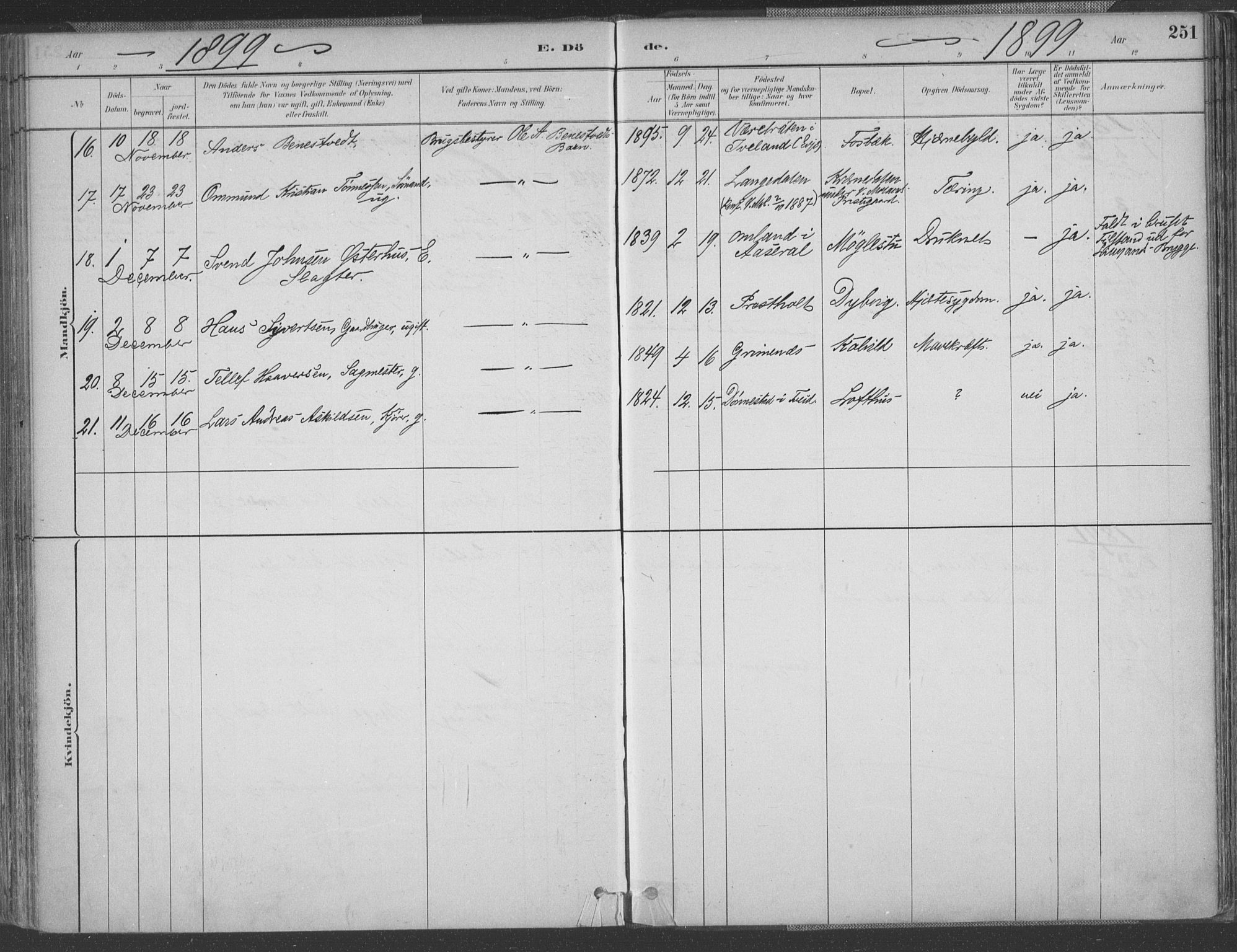 Vestre Moland sokneprestkontor, AV/SAK-1111-0046/F/Fa/Fab/L0009: Parish register (official) no. A 9, 1884-1899, p. 251