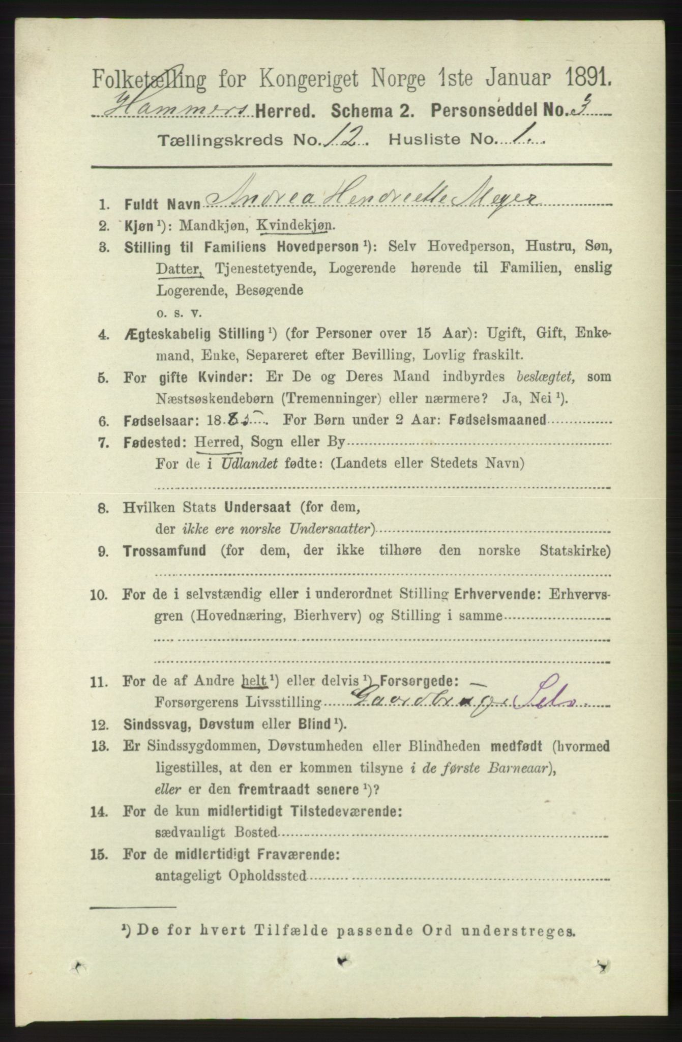 RA, 1891 census for 1254 Hamre, 1891, p. 3488